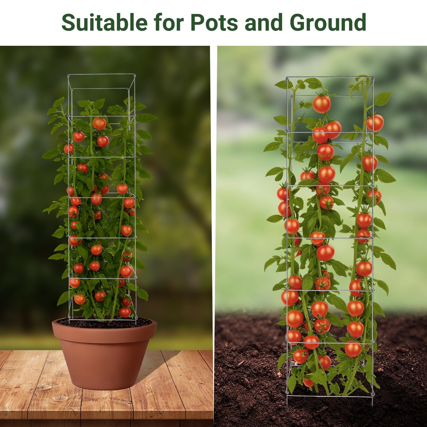 Toriexon Metal Foldable Tomato Cages 13" x 56", Square Tomato Cages Plant Support for Vegetable Garden, Heavy Duty Tall Tomato Cages for Beans, Tomatos, Cucumbers - 5 Pack