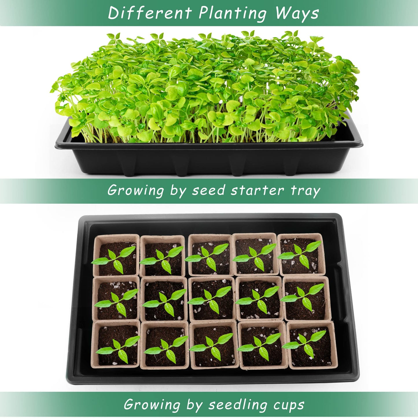 Hahood 4 Pack Seed Starter Tray Kit, 120 Square Seed Peat Pots for Seedlings with Plants Labels, Planting Tools, Plastic Growing Germination Trays with Lids for Indoor Outdoor Gardening, Black