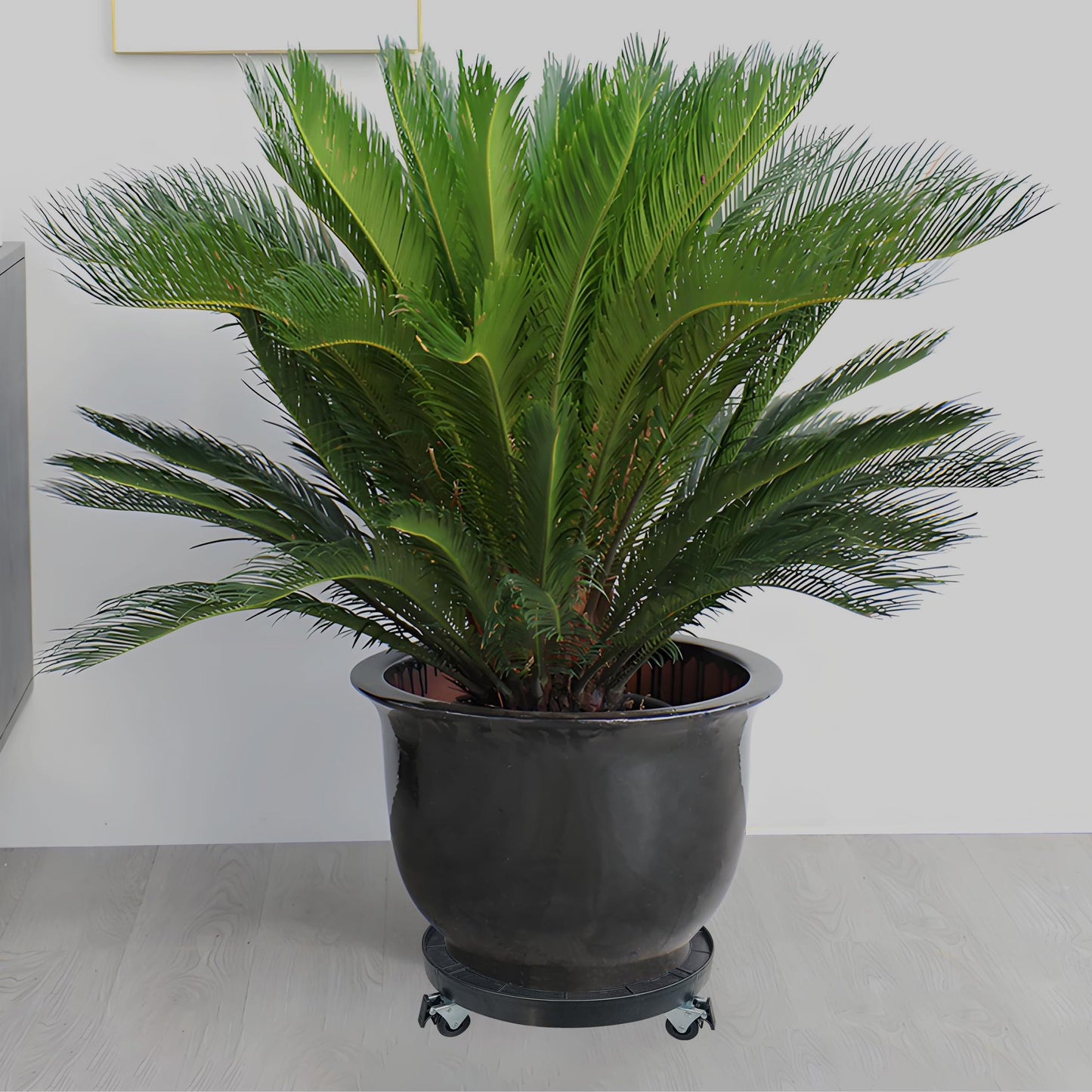 20 Inch Heavy Duty Plant Caddy With 360°Lockable Wheels,600 Lbs Capacity,Outdoor Indoor Rolling Plant Stand With Casters,Black Large Plant Dolly Potted Planter Cart For Big Flower Pots Plant Pots