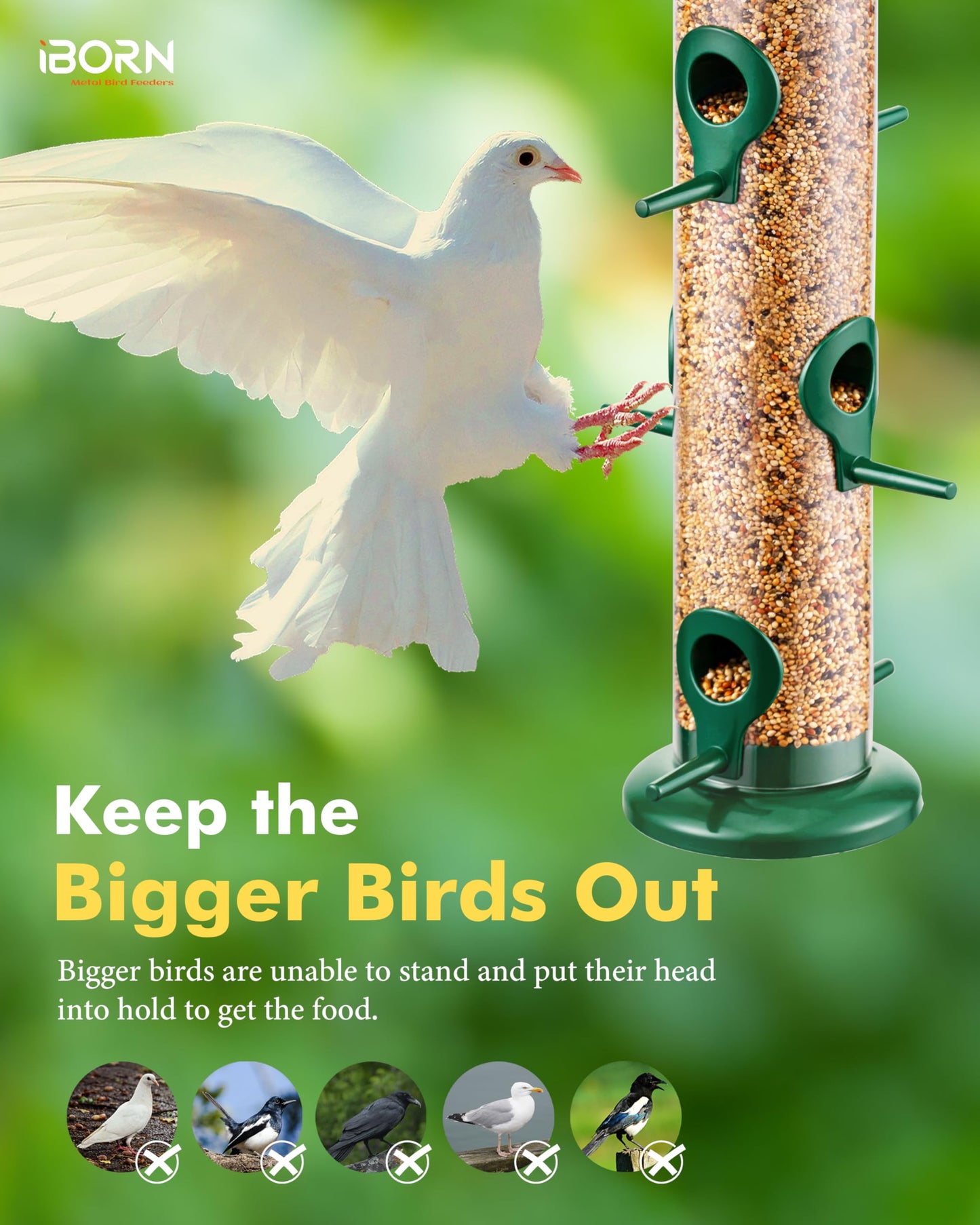 iBorn Metal Bird Feeders 6 Ports Hanging Wild Bird Seed Feeder for Mix Seed Blends, Seed Feeder, Sunflower Heart, Birdbath, Heavy Duty All Metal Green Finishing 15 Inch 6Port,Gift Box