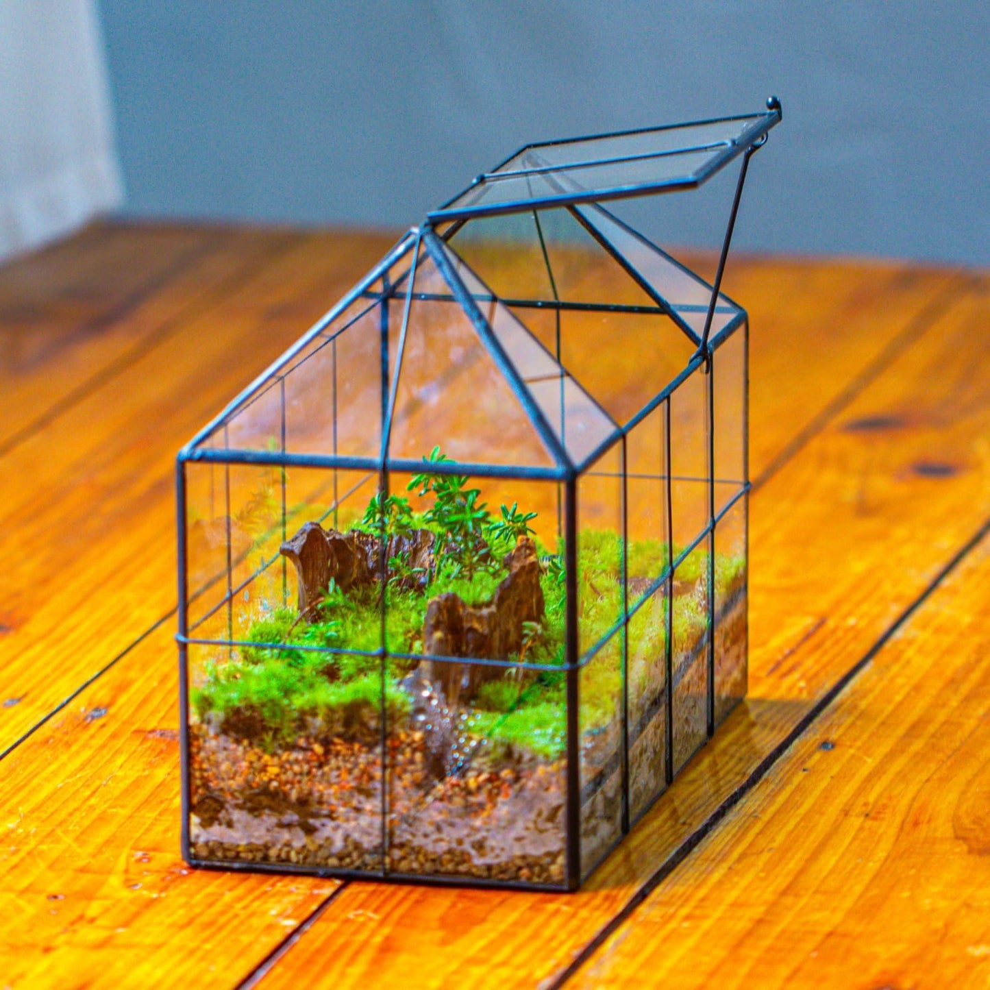NCYP Glass Terrarium Planter with Lid for Small Succulent Plants, Grid House Shape Black Geometric Terrarium Pot, Home Garden Indoor Tabletop Decor, 9.84" x 5.31" x 7.87" (No Plants)
