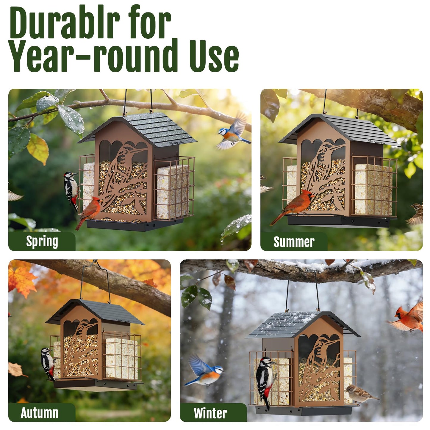 Birdream Bird Feeders for Outdoors, 5 Lbs Metal Bird Feeder with Double Suet Cages, 2 in 1 Mixed Seeds Suet Feeder, Large Capacity & Weatherproof Metal Roof, Attract Cardinals Wildbird Woodpecker