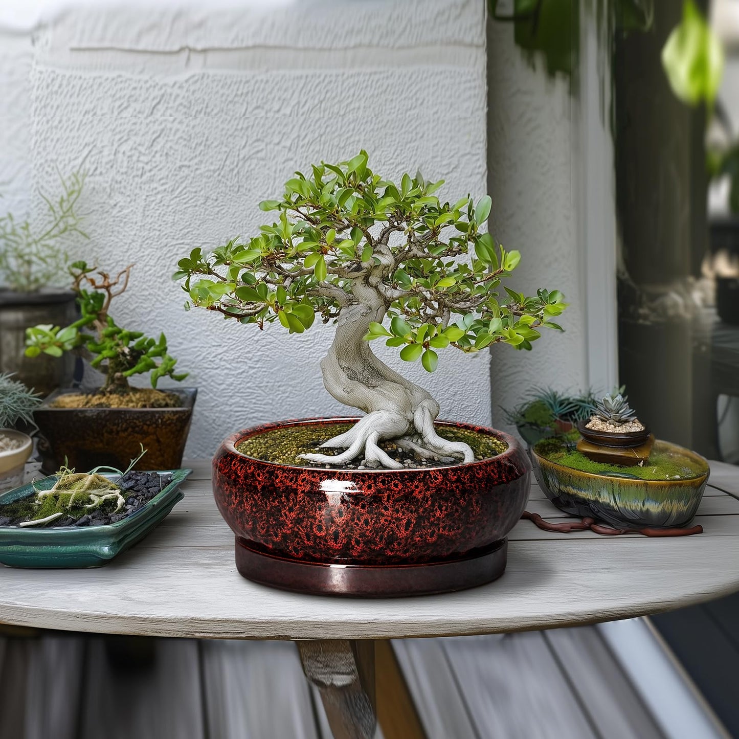 EPFamily Bonsai Tree Pots - 10 Inch Ceramic Succulent Planters for Indoor Outdoor, Bonsai Pots with Drainage Hole and Saucer, Shallow Round Planter, Planter Bowl, Patio Decor, Gifts for Women, Red