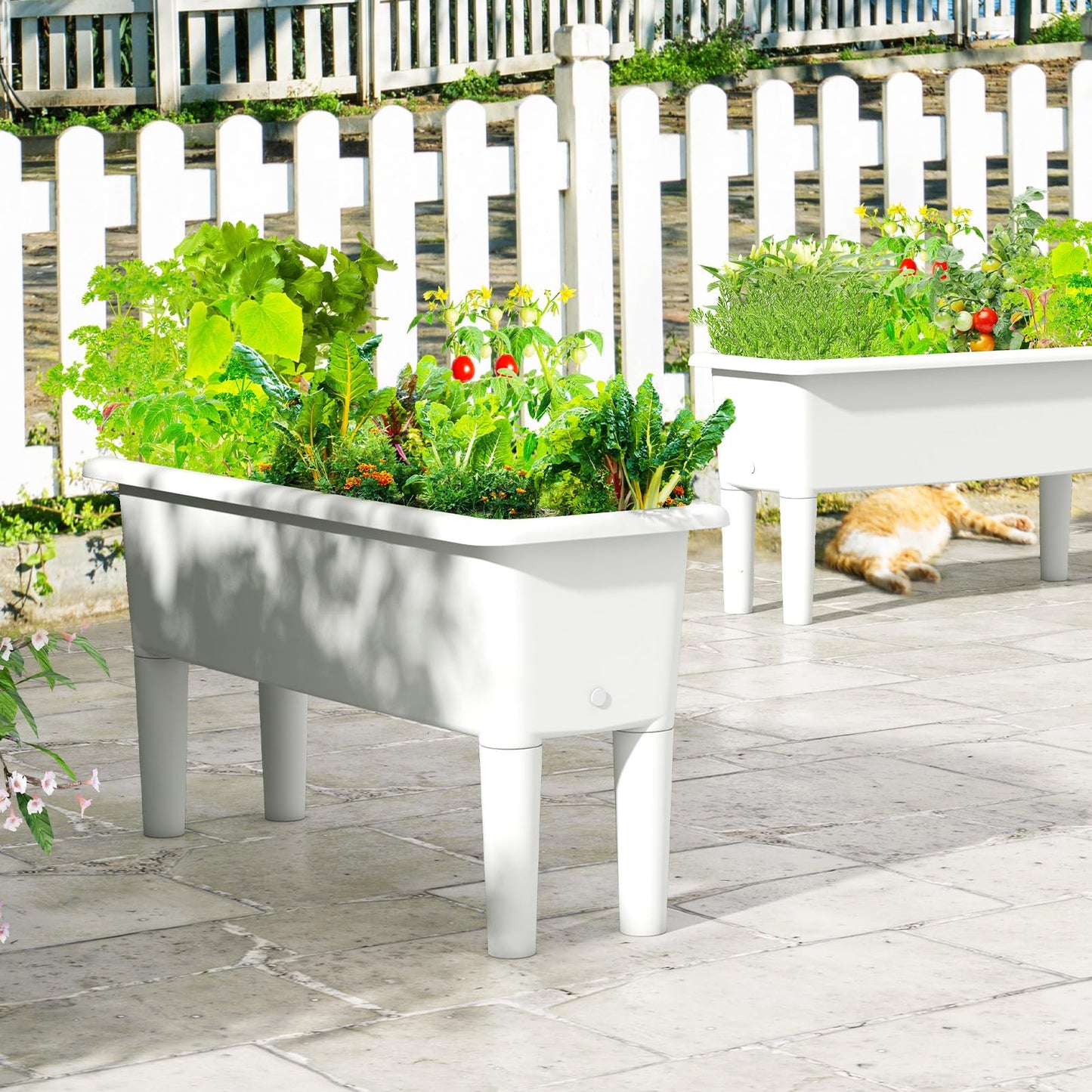 Giantex Raised Garden Beds Outdoor Set of 2, Self-Watering Planter Box with Detachable Legs & Drainage Hole, Outdoor Raised Container for Vegetable Fruit Herbs, 31.5”Lx12”Wx16”H, Easy Assembly (White)