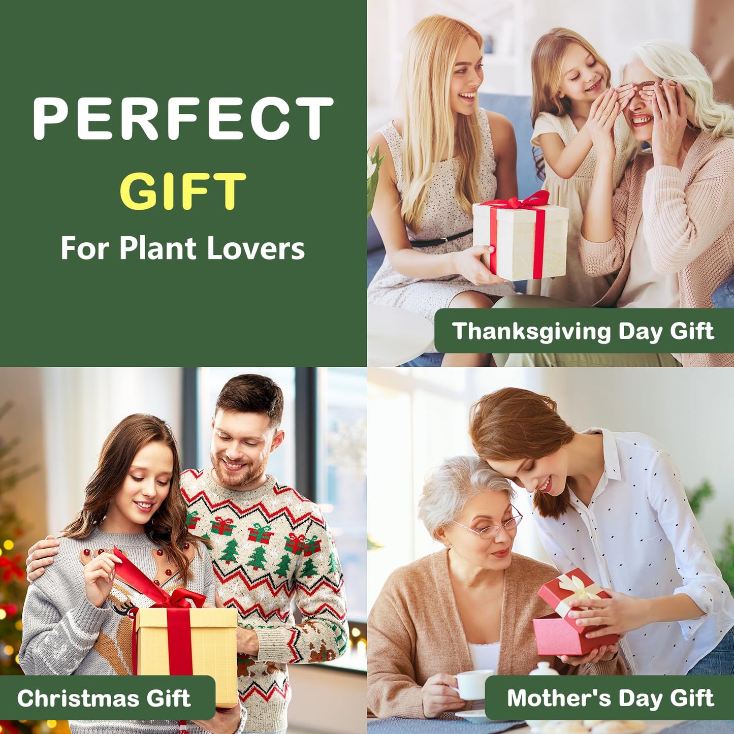 LUOJIBIE Bonsai Tree Kit, Complete Bonzai Tree Starter Kits, for Mom, Unique Christmas Birthday Gardening Gifts for Women Mom Men Grandkids, Crafts Hobby Kits
