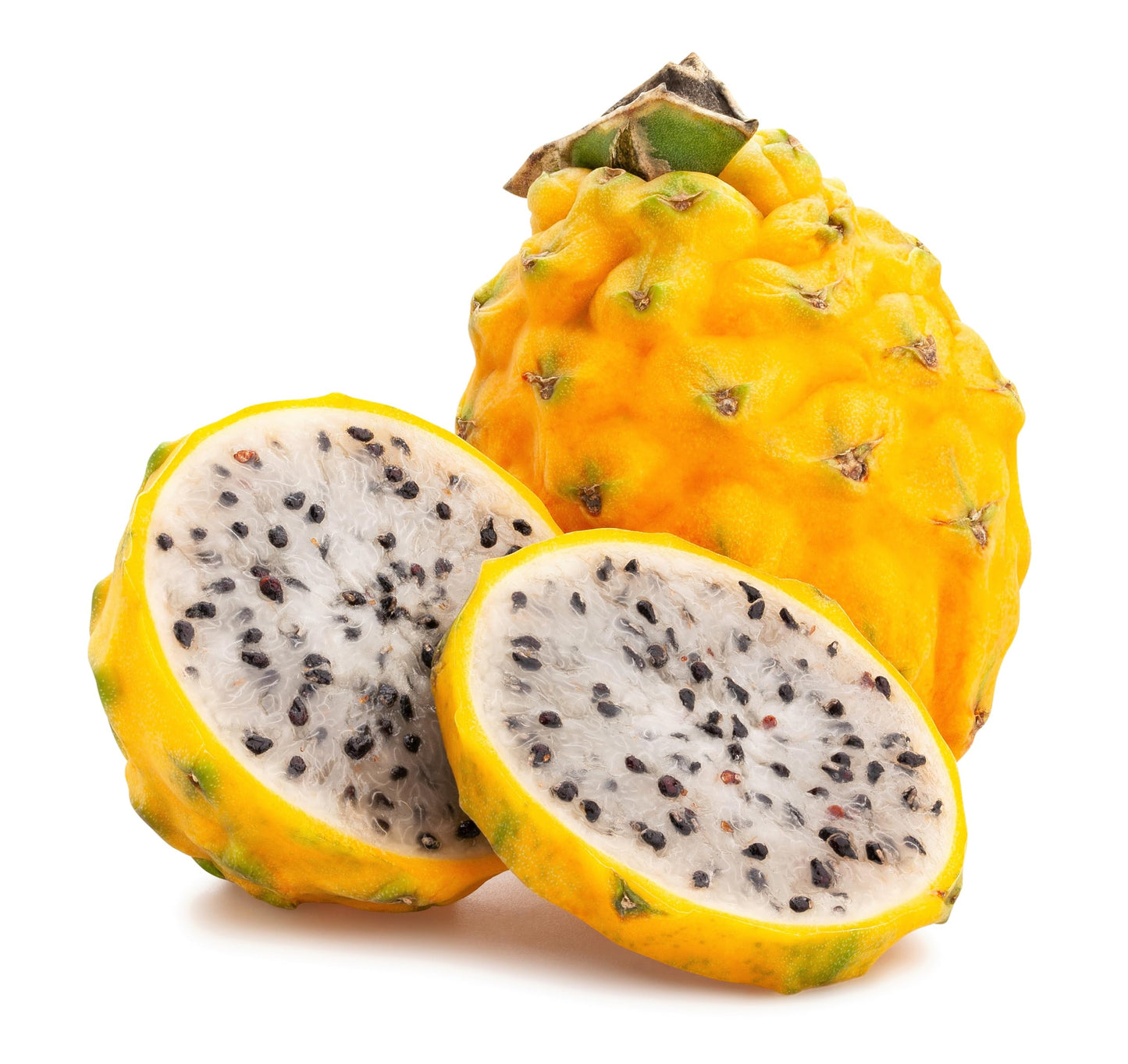 20 * Seeds * Yellow Dragon Fruit (Pitaya/Pitahaya/Strawberry Pear) Hylocereus Megalanthus Cactus White Flower