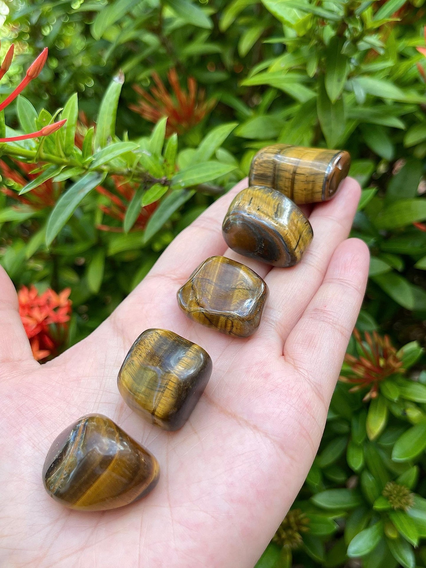 GAF TREASURES 5 Pcs Tiger Eye Tumbled Stones, Polished Natural Tiger Eye Gemstone, Tiger Eye Healing Crystals (Tiger Eye)