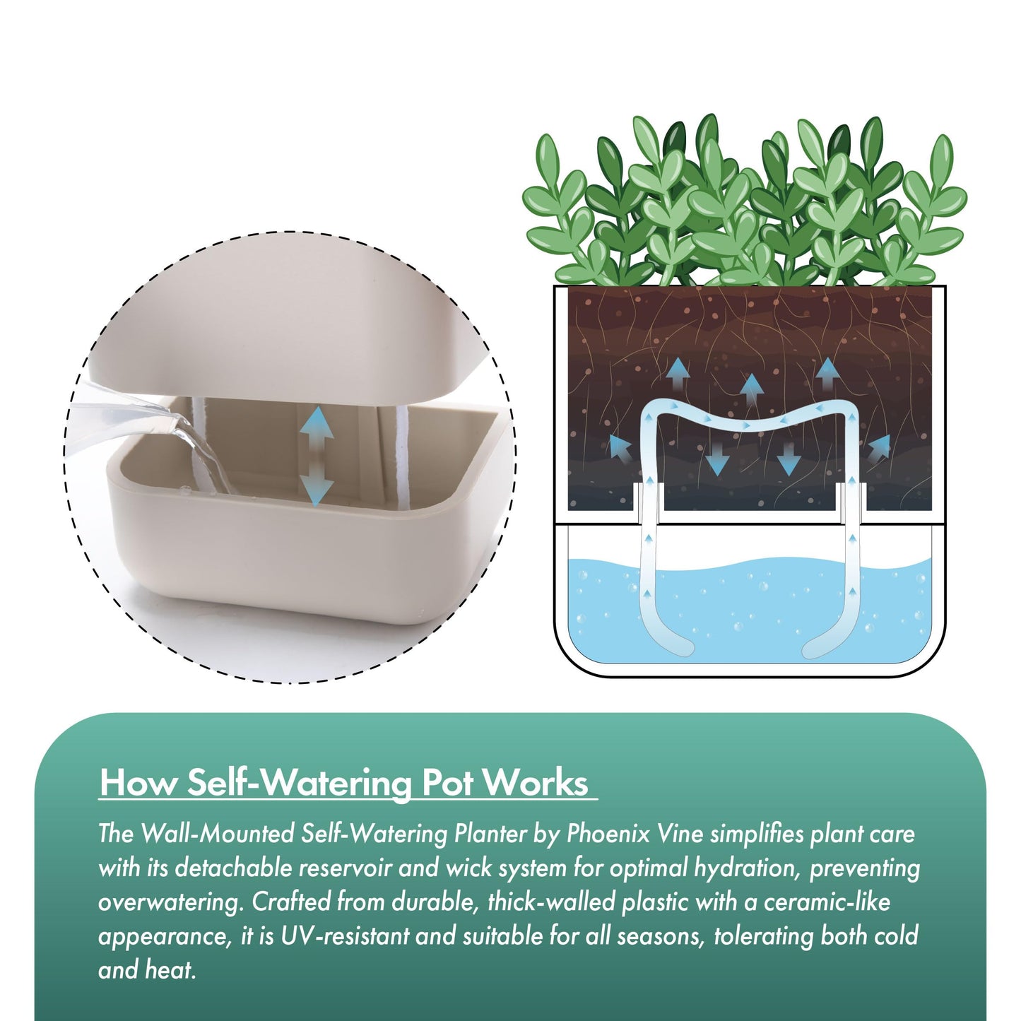 Phoenix Vine 6.5 Inch Wall Mounted Self-Watering Planter Pots for Indoor Houseplants and Herbs | Hanging Planter for Window Sills, Bathroom Walls, Home & Office Décor, Oatmeal, Set of 3, 01-C-G-3