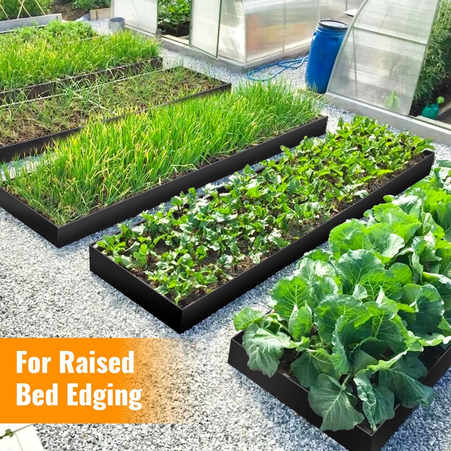 Landscape Edging, 3" x 50' Garden Edging, Black Edging for Landscaping with 45 Pcs Anchoring Spikes for Garden Flower Beds Yard Lawn