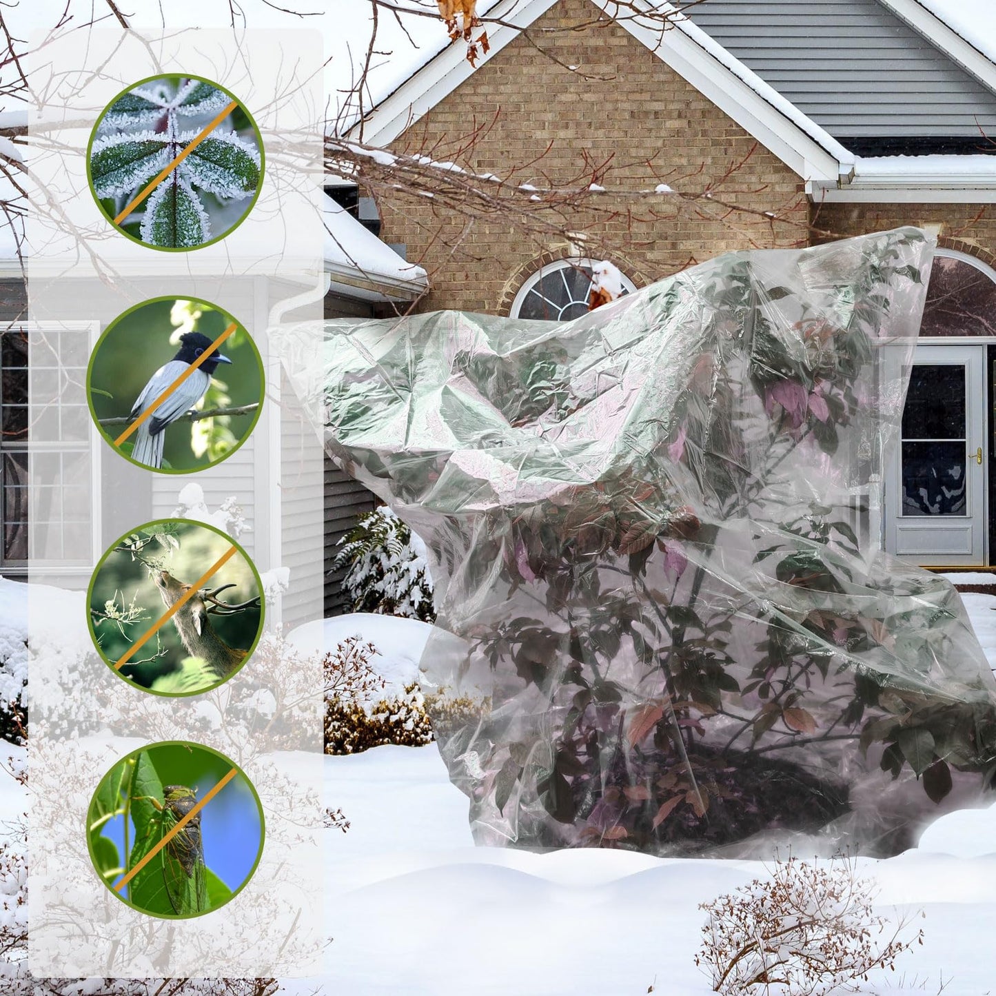 2 Pcs Large Winter Plant Cover Freeze Protection with Drawstring-70.8’’x82.7’’ Clear Plastic Plant Cover Bags Winter Plant Frost Bags ,Plant Shelter Coverings for Outdoor Garden Shrubs Fruit Trees