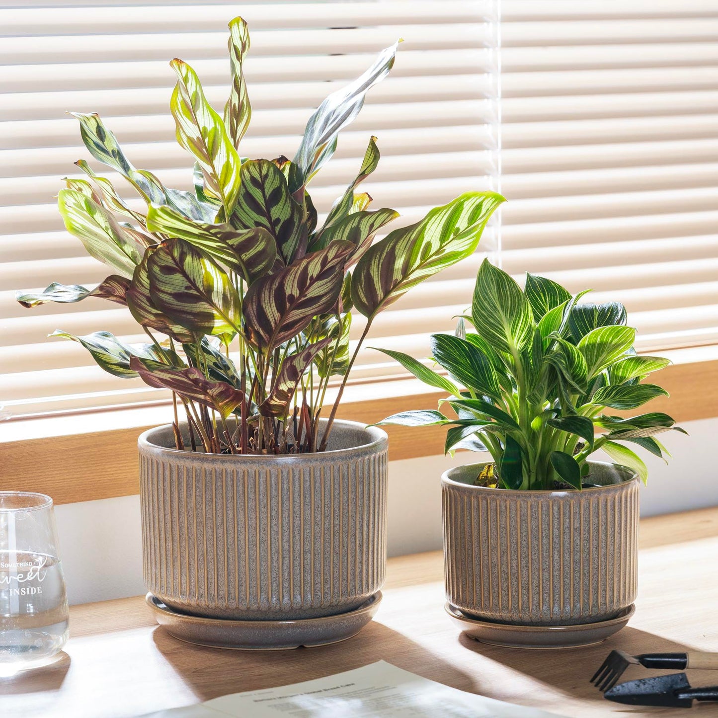 SURE YUESI Speckle Gray Ceramic Plant Pots Set of 3 (4.3”+5.5”+6.7”) Indoor Striped Planters with Drainage Hole, Saucer Pad, Decorative Pots for Plants & Gardening