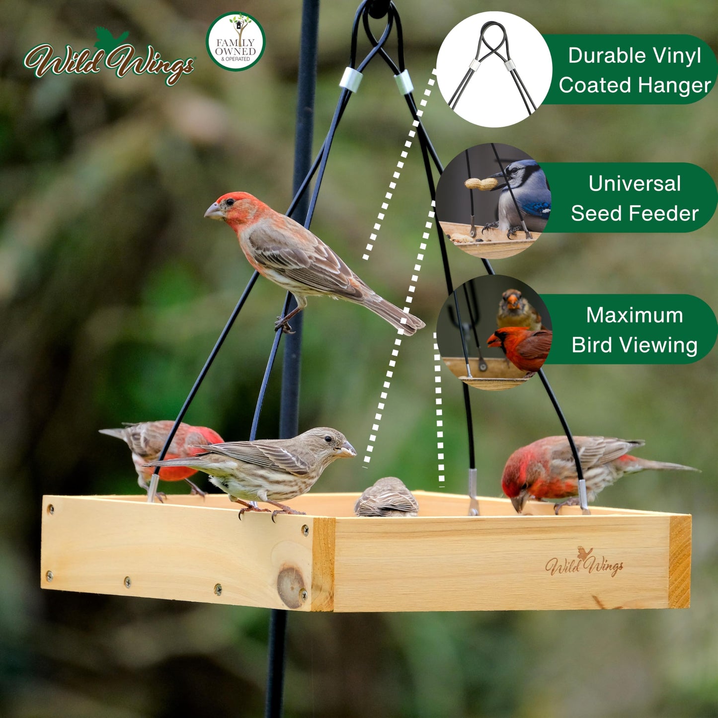 Wild Wings WWCF23 Rot Resistant Cedar Hanging Tray Bird Feeder with Fresh Seed Tray, Platform Feeder for Outdoor Wild Bird Seed Feeder and Décor, Wood