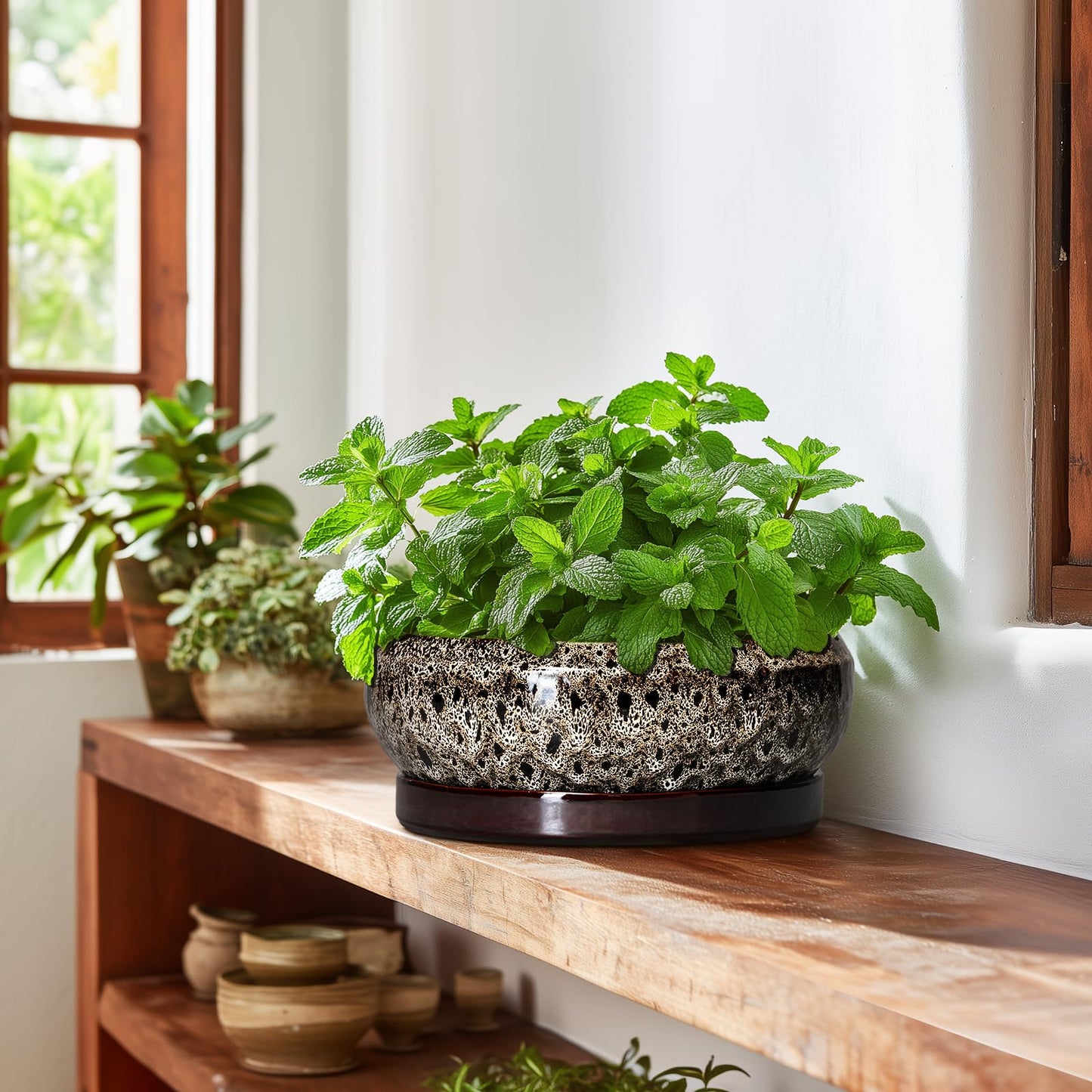 EPFamily Succulent Pots 10 Inch - Ceramic Bonsai Pots with Drainage Hole and Tray, Large Succulent Planters, Shallow Planter Indoor, Round Planter Bowl, Window Decor, Gifts for Plant Lovers, White
