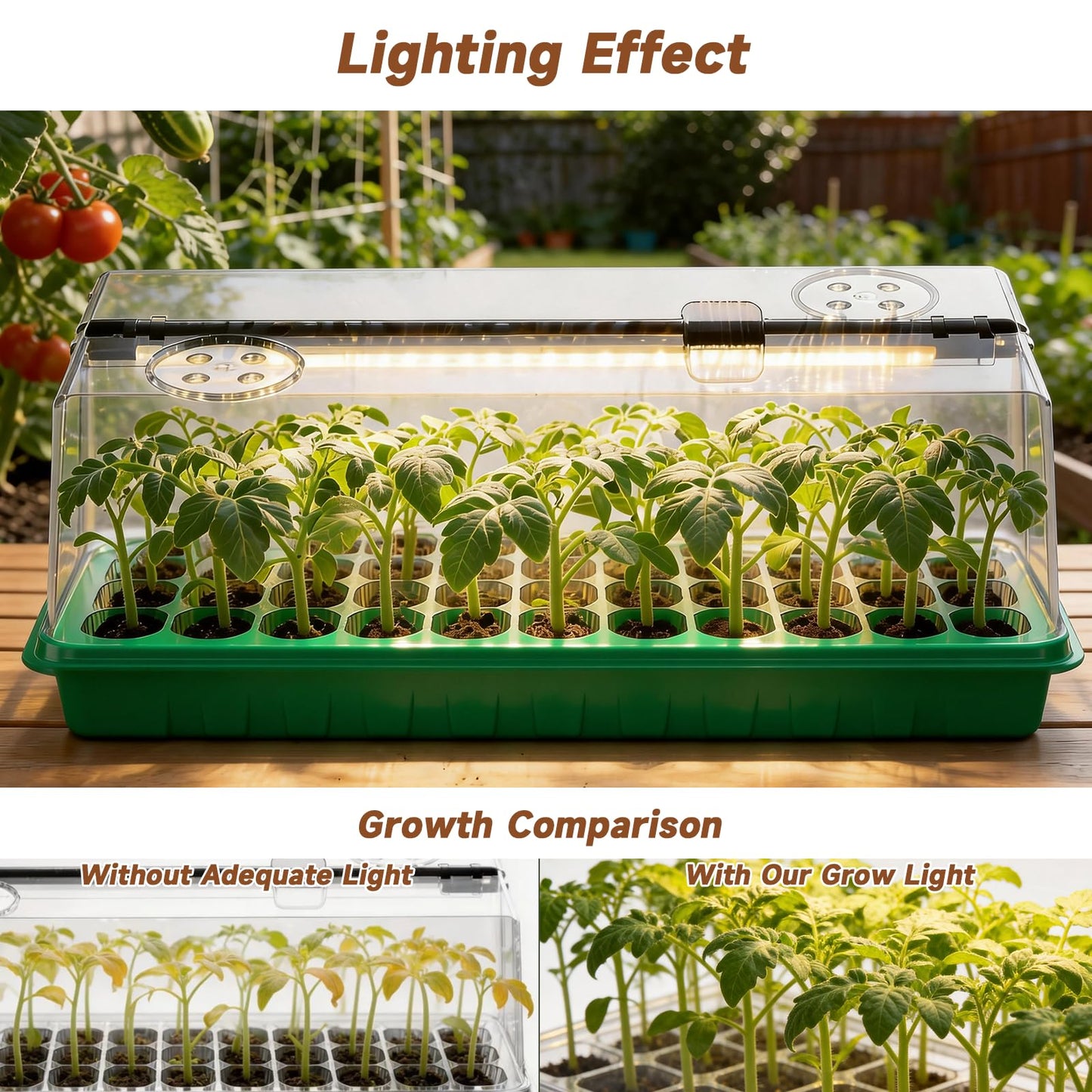Seed Starter Tray with Grow Light, Seed Starter Kit Full Spectrum with 5 Dimmable Brightness & Timer, Indoor Plant Grow Tray for Beginners & Seasoned Gardeners, Gardening Gifts (Green, 144 Cells)
