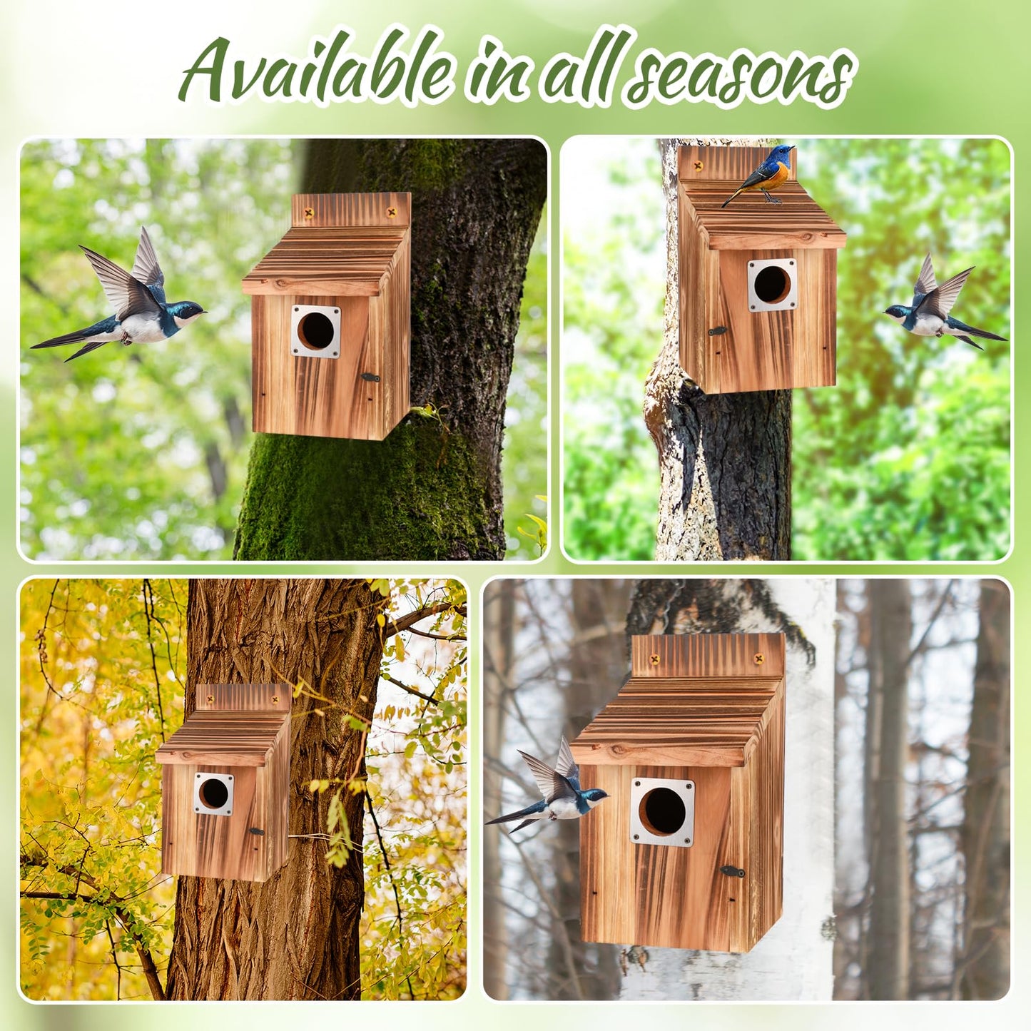 4-Piece Outdoor Bird House Set, Bird Houses for Outside with Metal Guards, Safety Locks, Flight Slots, & Ventilation, Bluebird Houses with 1-1/2" Entrance for Bluebirds, Wrens, Finches