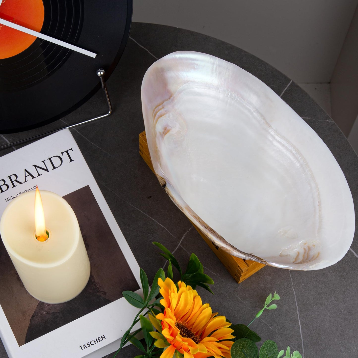 QEQEKAKA 11" Natural Seashell Decorative Bowl (Note: A base is required.) Extra Large Polishing Clam Shell Bowl for Crafts & Coastal Nautical Home,Beach Party Wedding Shell Home Decor