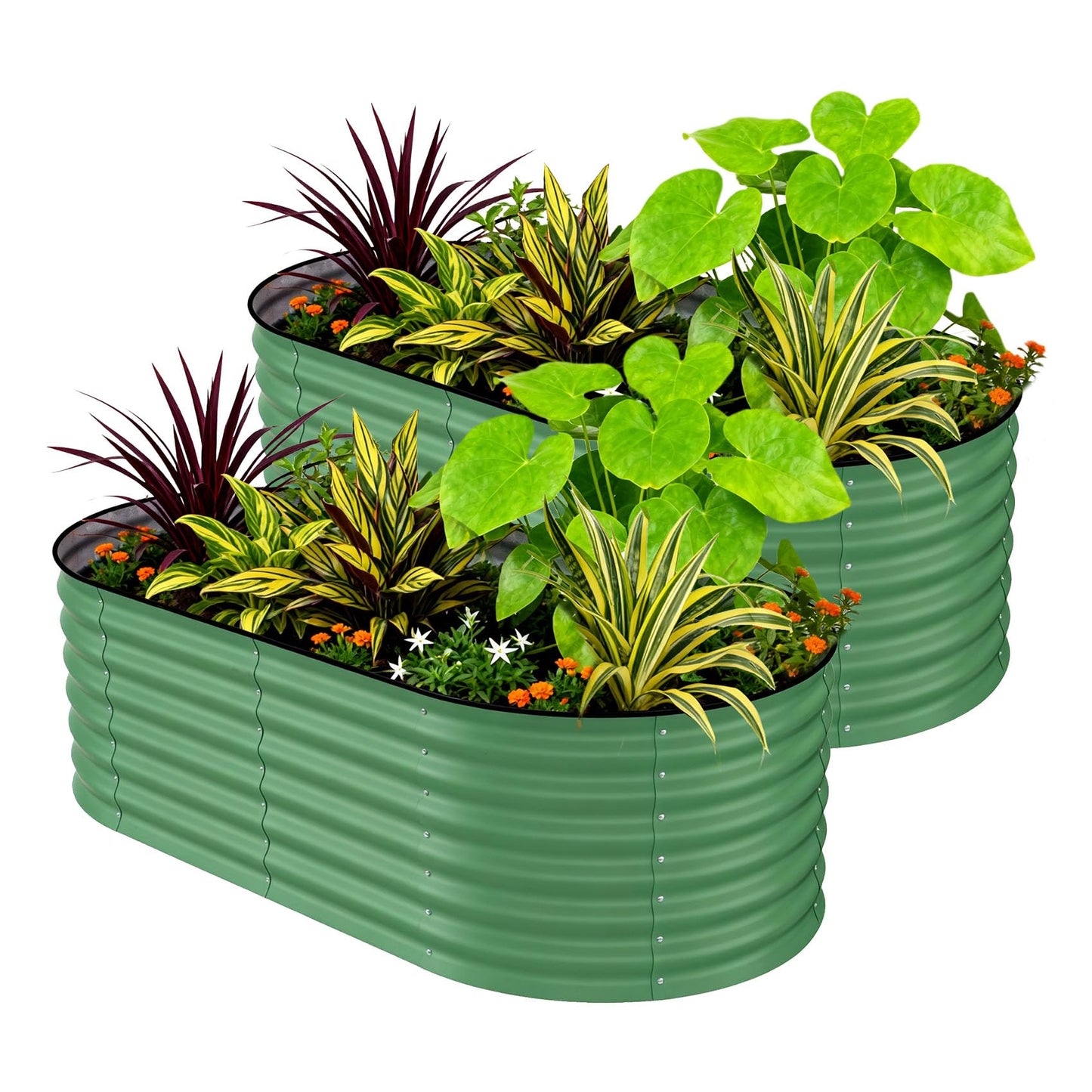 GarveeLife 2 Pcs Raised Garden Beds Outdoor 6x3x2 ft - Galvanized Steel Planter Box for Vegetables, Flowers, Rust-Resistant Garden Box, Easy Assembly Raised Beds, Durable Planters for Outdoor Plants