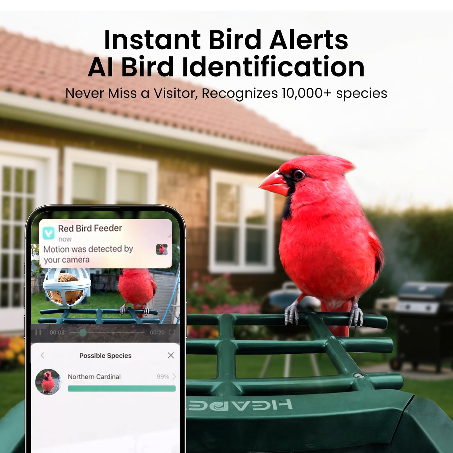 Smart Bird Feeder with Camera Solar Powered, 2K HD Video, AI Bird Species Identification, Instant Arrival Alerts, Weatherproof Design for Effortless Birdwatching, Best Gift for BirdLovers, Red