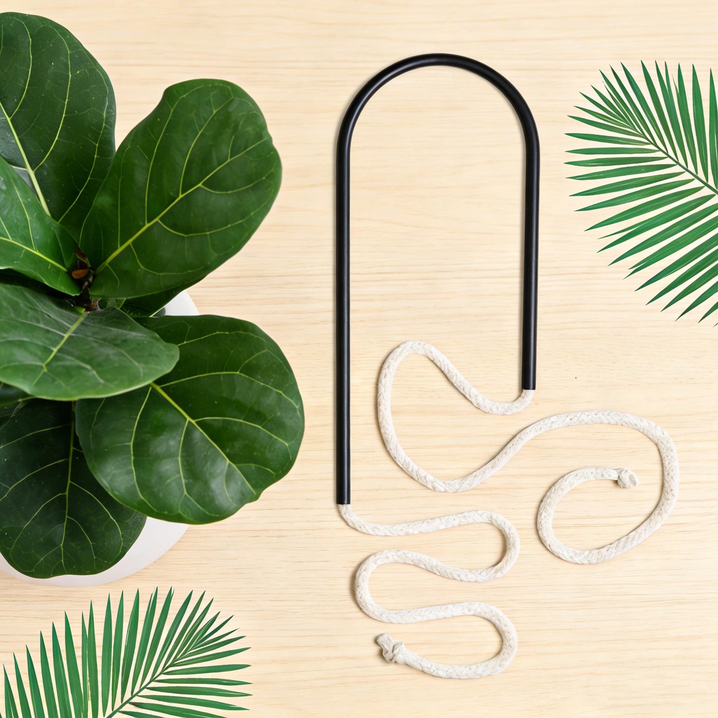 Self-Watering Plant Wick System,Stainless Steel and Cotton, U-Shaped, Automatic Drip Irrigation for House Plants,Black