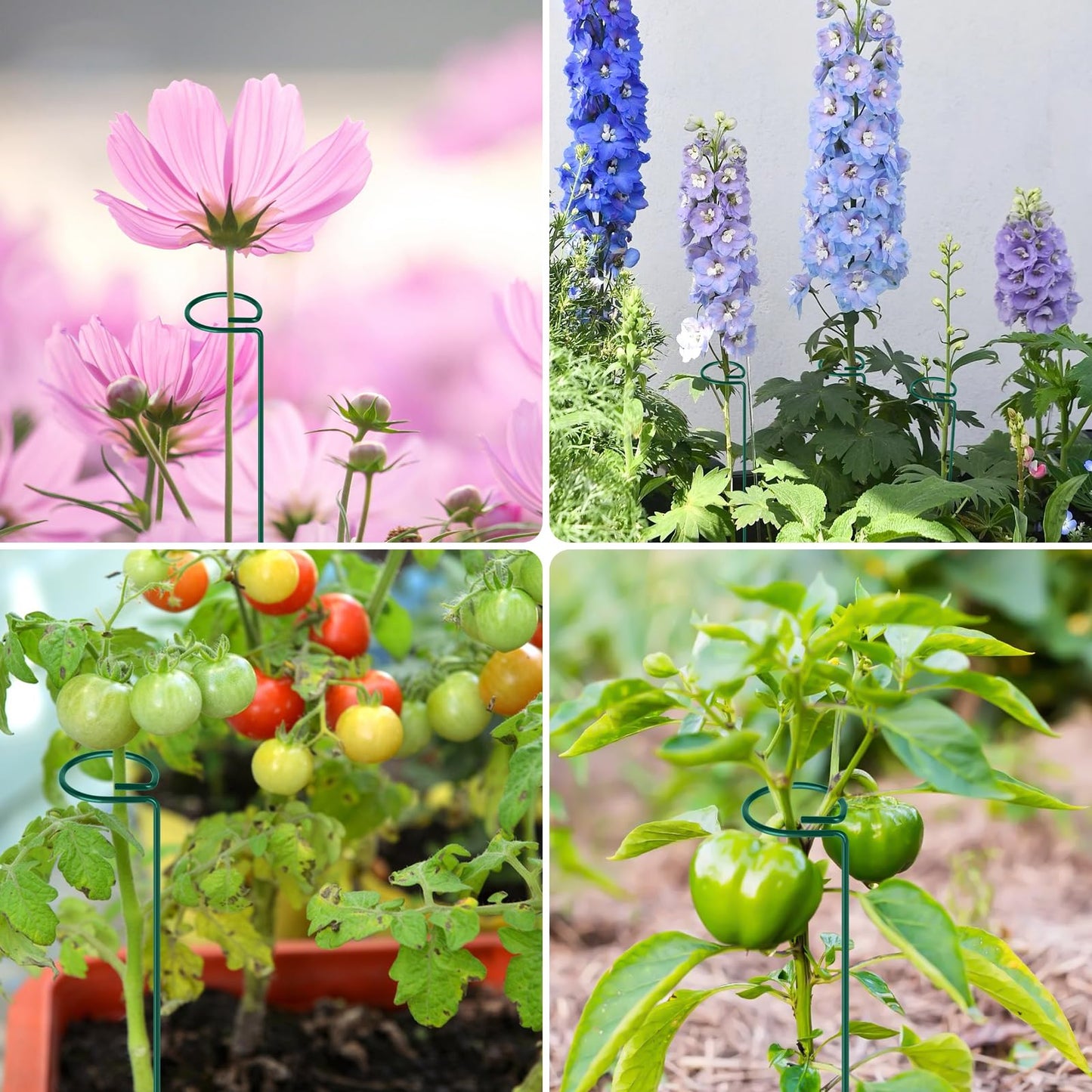 FEED GARDEN 16 Inch 20 Pack Plant Support Stakes, Metal Garden Flower Stakes and Supports for Outdoor Plants, Plant Stem Support with 40 Twist Ties for Amaryllis Lily Rose Peony Tomatoes Gladiolus