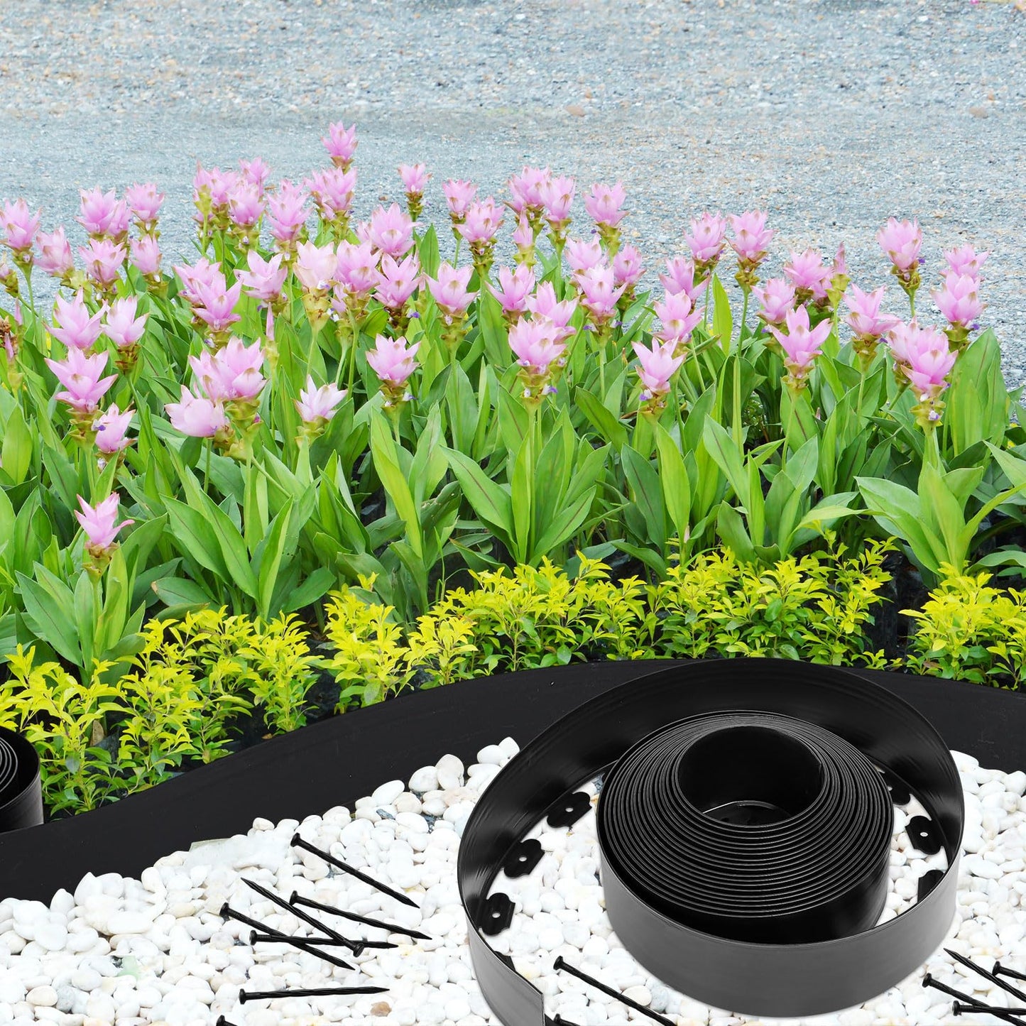 Sasylvia 6'' x 50' Landscape Edging Kit Plastic Garden Edging Border Include 45 Anchoring Spikes for Lawn Garden Grass Yard Home School, Black