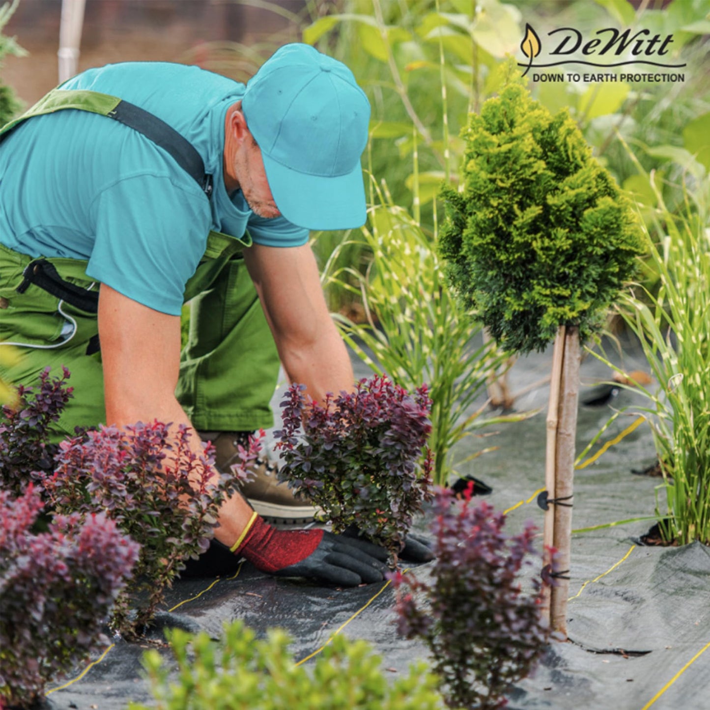 Dewitt 3-Pack Sunbelt Weed Barrier Fabric 3.2 oz, 6 x 300 Feet – Heavy-Duty Ground Cover Mat for Greenhouse Floors, Garden Rows, Raised Beds, Yard Gardening, and Outdoor Landscape Protection