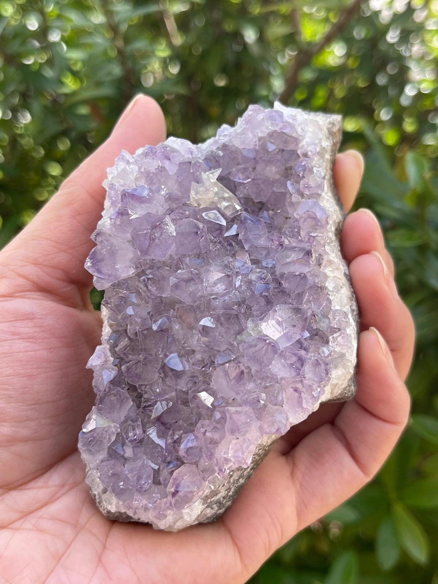 GAF TREASURES XL Raw Amethyst Cluster, 3-4" Natural Rough Amethyst Cluster, Amethyst Cluster Rough, Amethyst Cluster Healing Rough Crystal (Amethyst Cluster, 0.5-1 lb)