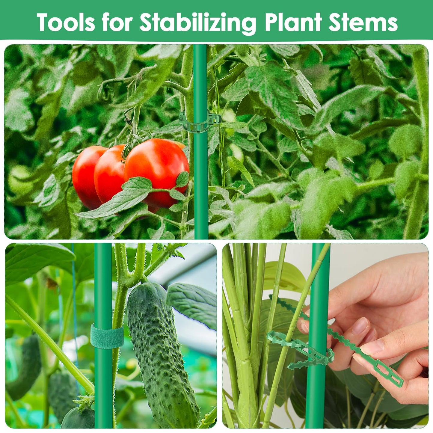 LifeisLuck 3 Pack Tomato Cage for Garden, Upgraded Fiberglass Garden Trellis with 3 PCS Grow Bags, Square Tomato Planter Support Garden Cages for Cucumber Vegetables Vertical Climbing Plants