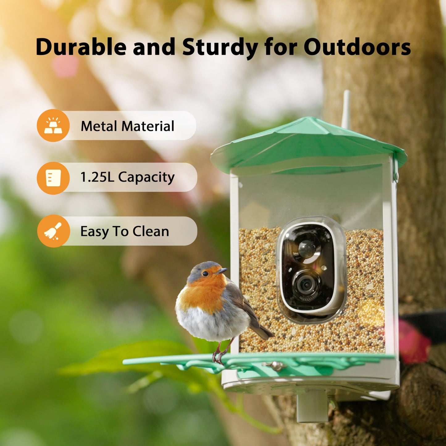 Birdkiss Smart Bird Feeder with Camera Solar, Auto Capture Bird Videos & Motion Detection, Birds Watching Camera Notify in Time, Metal Birds Feeder with Seed Guard, Ideal Present for Mom (Green)