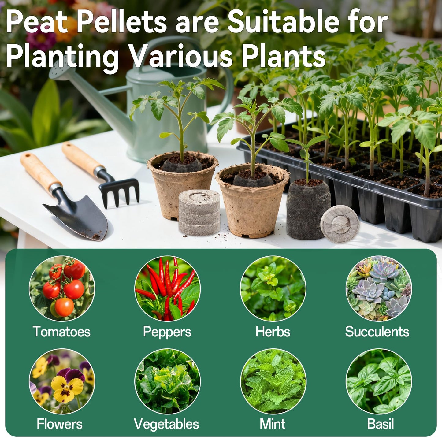 Halatool 200 Pcs 30mm Peat Pellets Block Potting Soil for Seedlings, Compressed Garden Soil Seed Starter Nutrient Peat Pods for Starting Seeds, Planting Flowers, Vegetables, Herbs