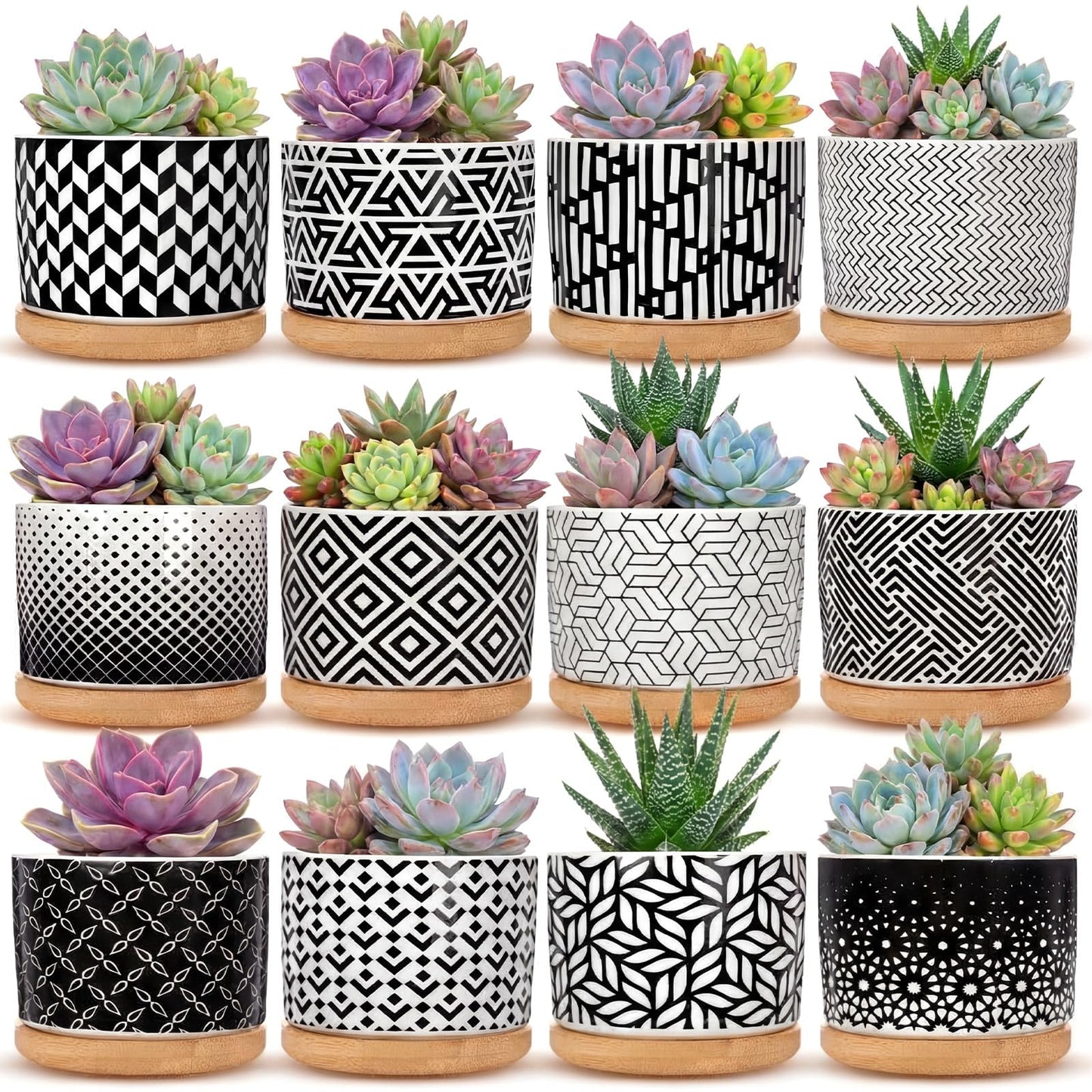 Threehoney 12 Pack 3.14 Inch Ceramic Succulent Pots Geometric Pattern Small Succulent Plant Pots with Drainage Hole and Bamboo Trays Mini Flower Cylinder Pot for Small Plant Cactus Home Office Decor