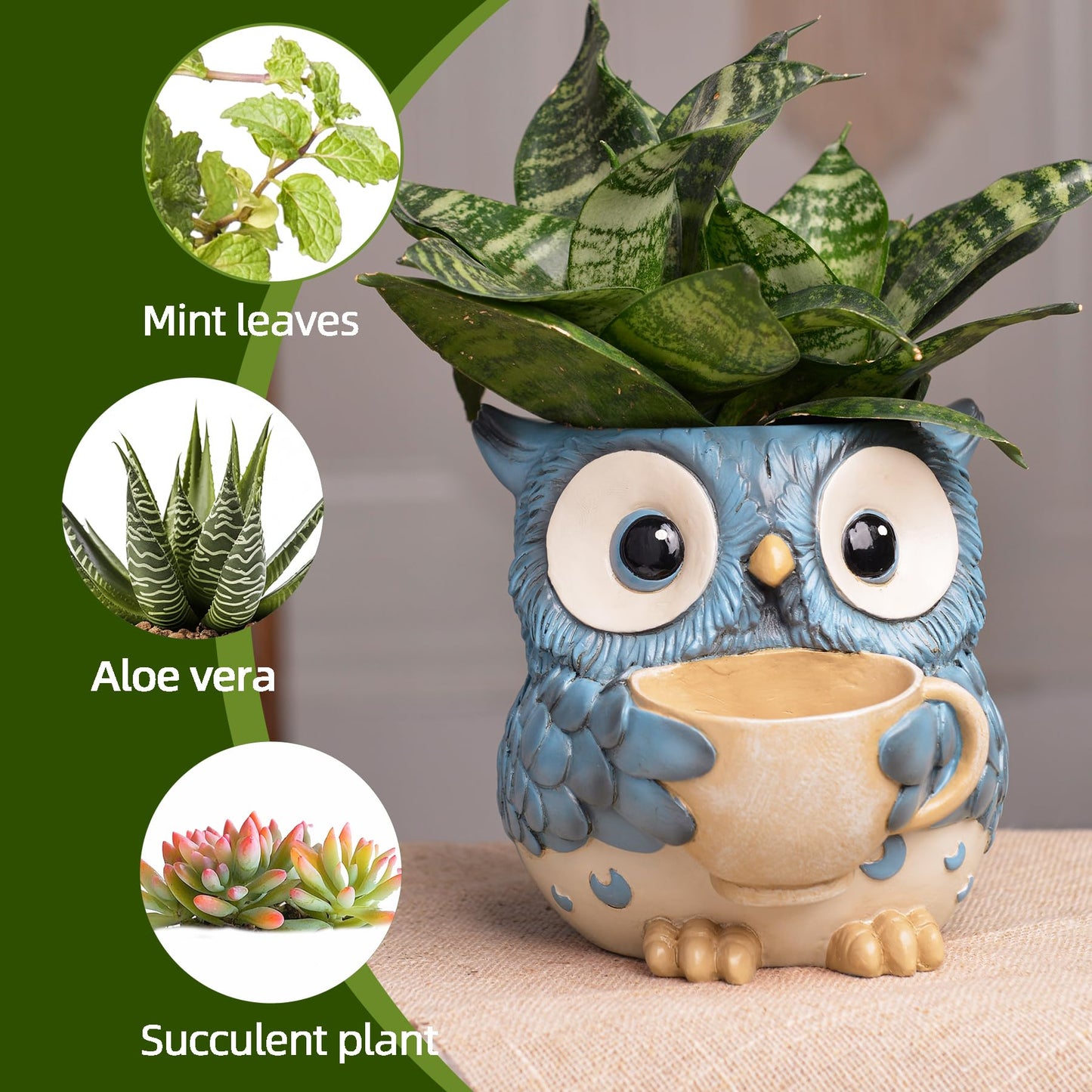 Saysmile Unique Owl Plant Pots Indoor, Cute Small Succulent Pots with Drainage Hole, Watering Owl Planters for Indoor Outdoor Plants, Resin Flower Pot for String of Pearls, Gift Ideas for Mother