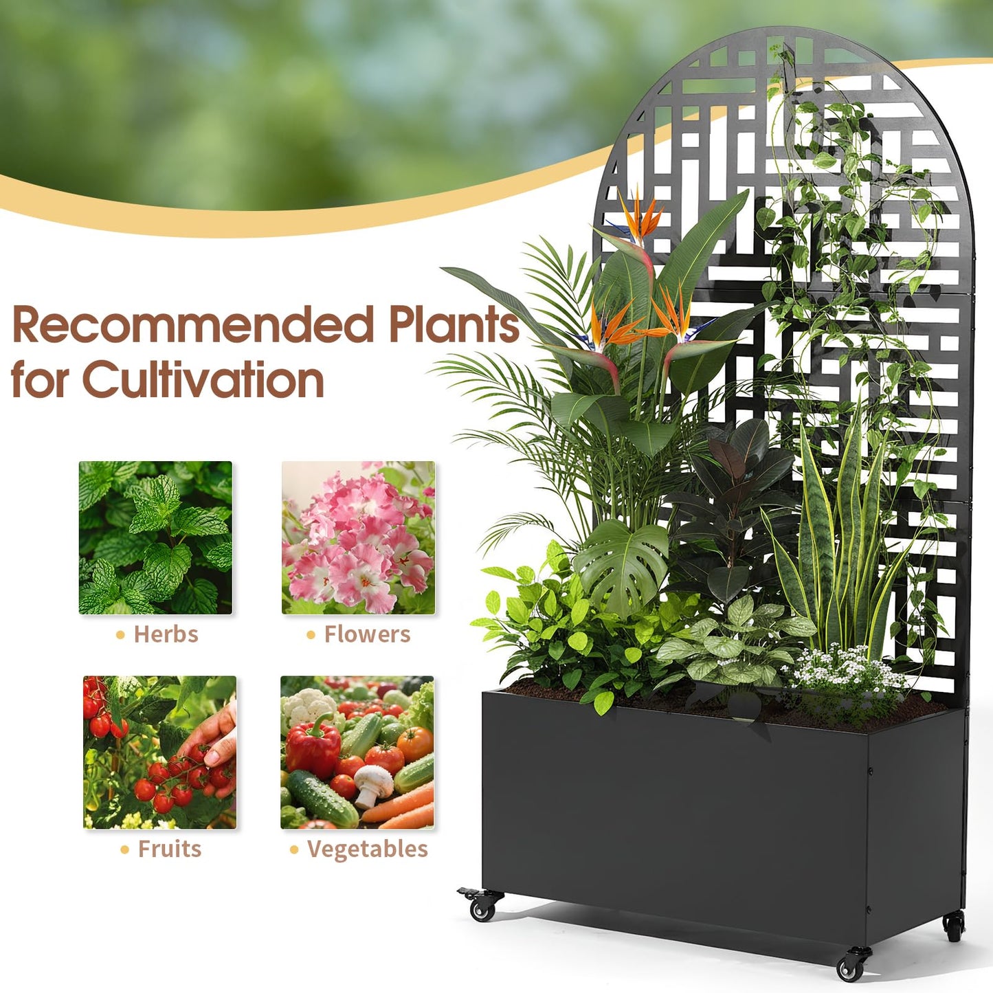 VINGLI 71″H Metal Raised Garden Bed with Trellis and Wheels, Outdoor Planter Box with Drainage Holes for Climbing Plants, Vegetables and Vines, Privacy Screen, for Patio, Backyard and Balcony, Black