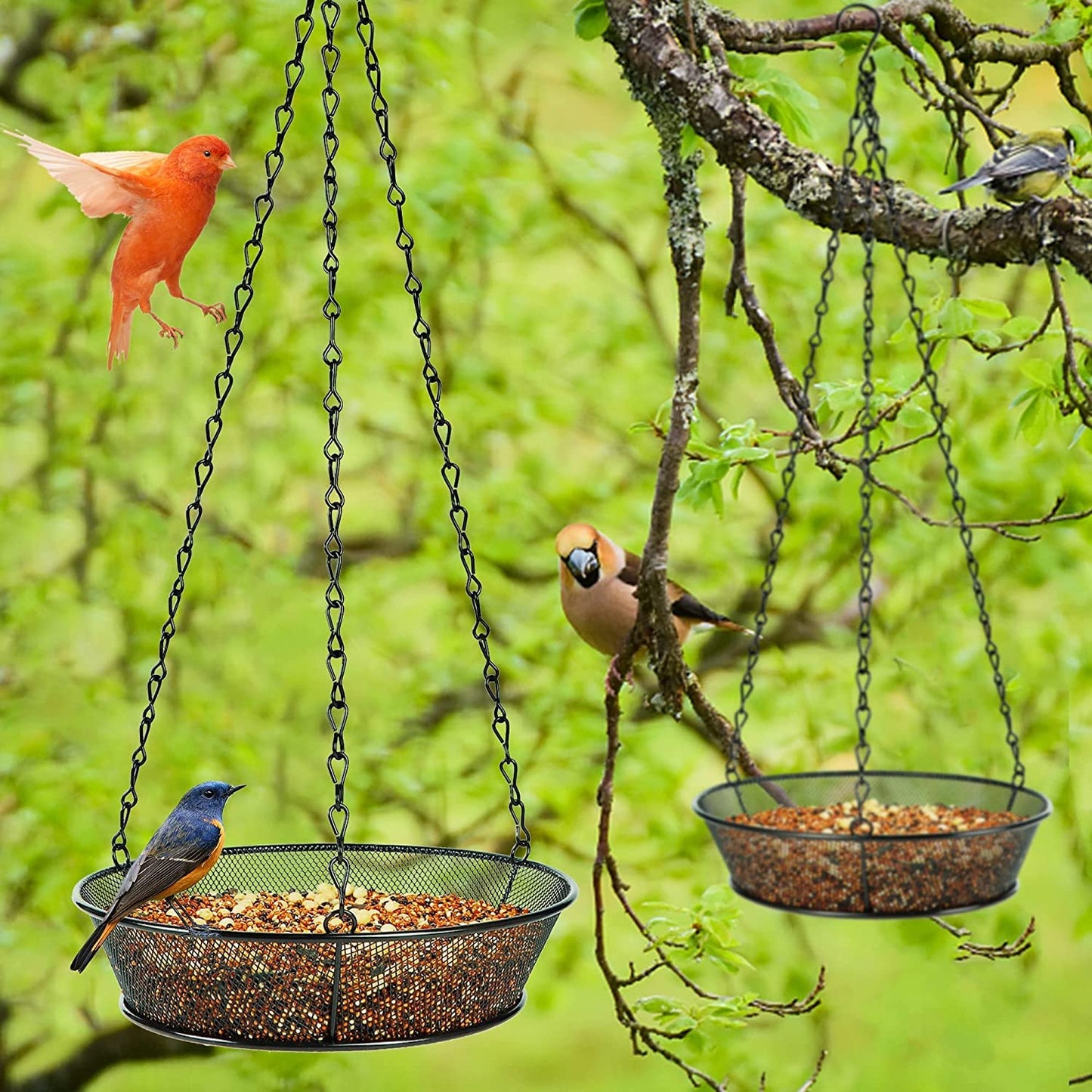 2 Pack Hanging Bird Feeder, Bird Feeder for Garden Yard Outside Hanging Feeder Tray - Metal Mesh Platform Feeders for Outside Outdoors for Attracting Birds