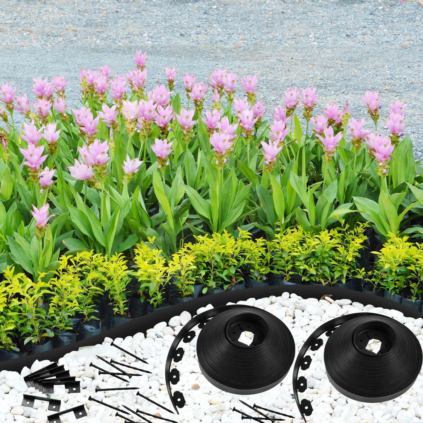 Sasylvia 2.5'' x 200' Landscape Edging Kit Edging Border Coil Include 120 Anchoring Spikes 10 Connectors Plastic Garden Border for Lawn Garden Grass Yard Home(Black)