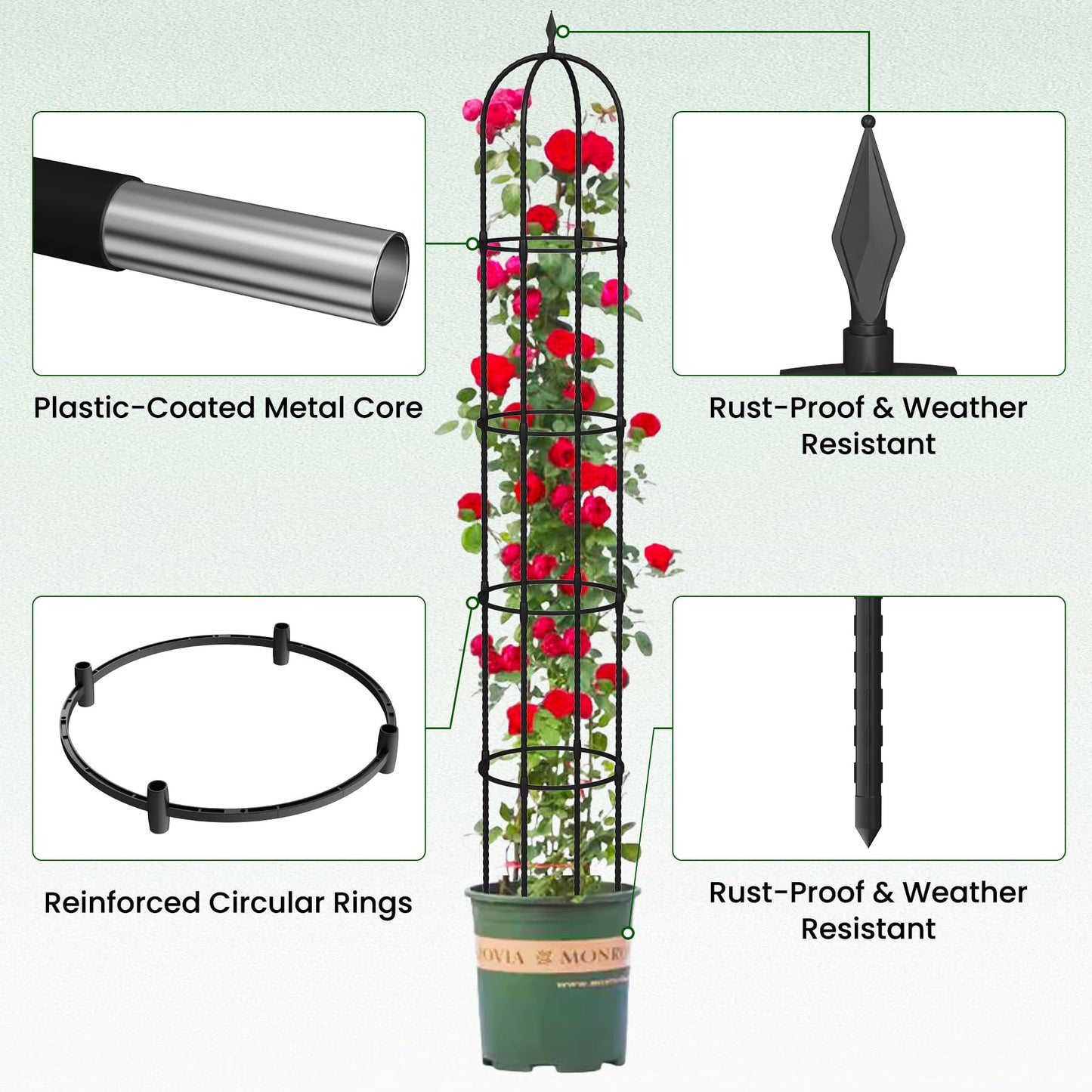 Garden Obelisk Trellis for Climbing Plants - 76" Tall Weather-Resistant Rustproof Metal Plant Flower Support for Roses, Clematis, Tomatoes & Vines, Indoor/Outdoor Use, 12”D (2 Pack)