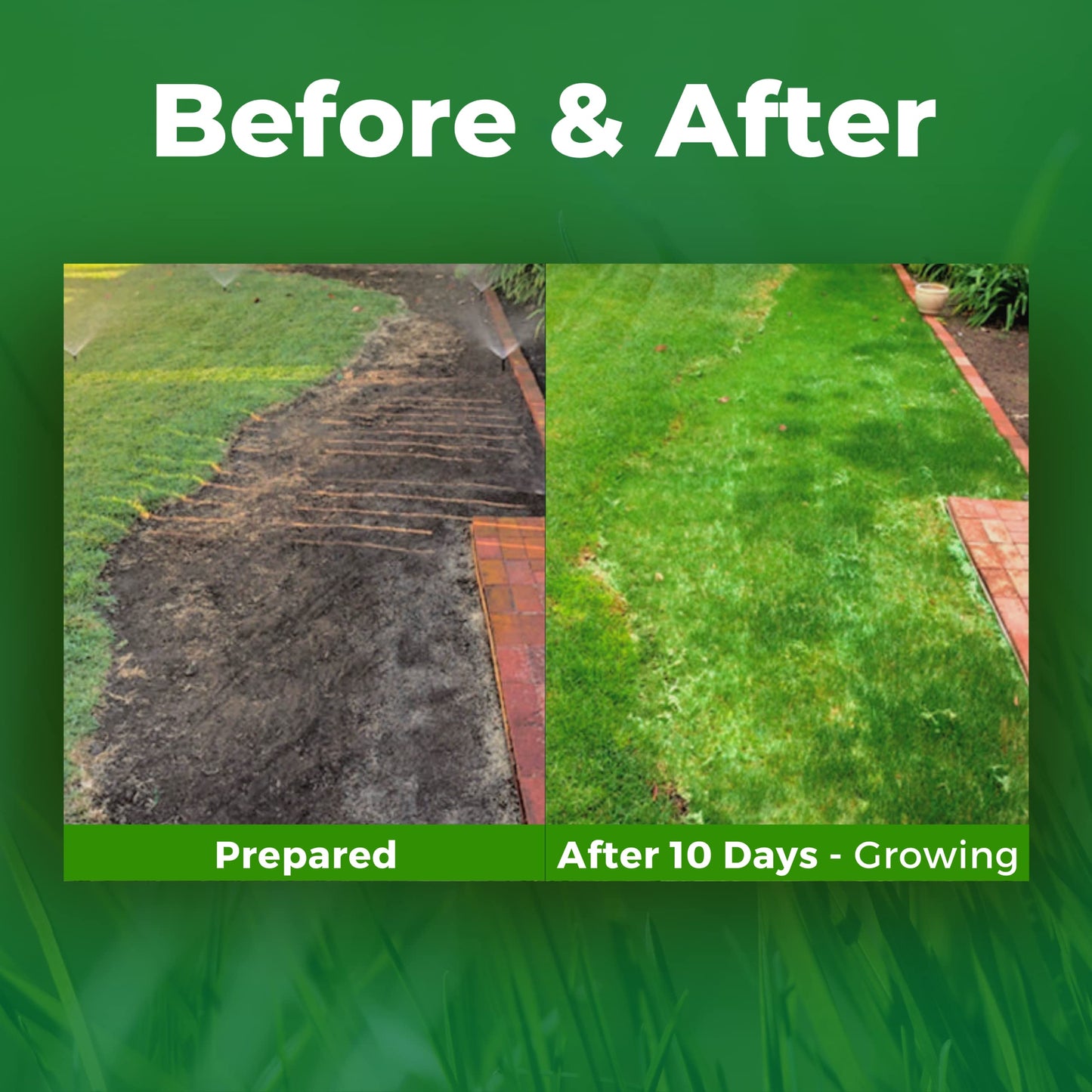 Growtrax 200 Sq Ft Biodegradable Bermuda and Rye Blend Grass Seed Mat - Mix & Fertilizer Mat for Ball Fields, Parks, & Residential Lawns