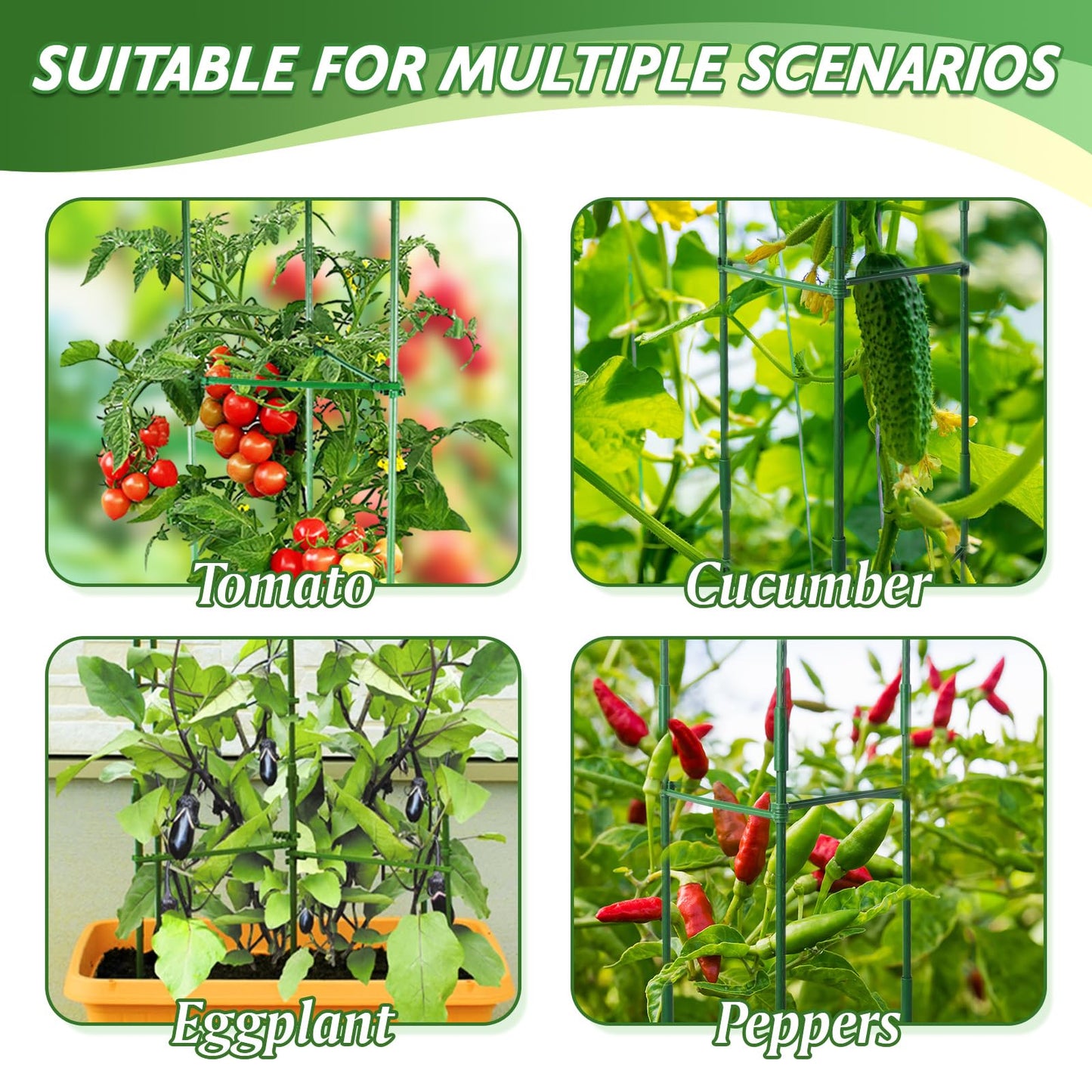 Tomato Cage, Tomato Plant Support Trellis for Garden & Pots, Rust-Resistant Tomato Cages for Climbing Vegetables Plants Flowers, 3 Pack - 48-Inch