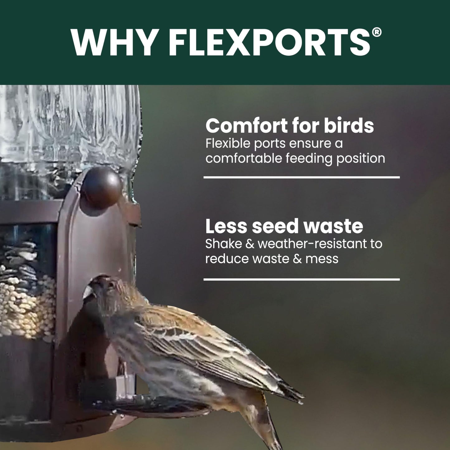 Perky-Pet 334-1SR Squirrel-Be-Gone Max Large Wild Bird Feeder with Flexports, Squirrel Proof Bird Feeder with Weight-Activated Perches - 4LB Seed Capacity