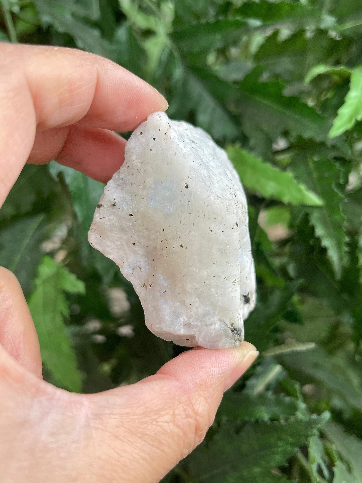 GAF TREASURES Wholesale Raw Rainbow Moonstone Crystals, Natural Rainbow Moonstone Stone, Rainbow Moonstone Rough, Rainbow Moonstone Healing Crystals (Rainbow Moonstone, 0.5 Pound)
