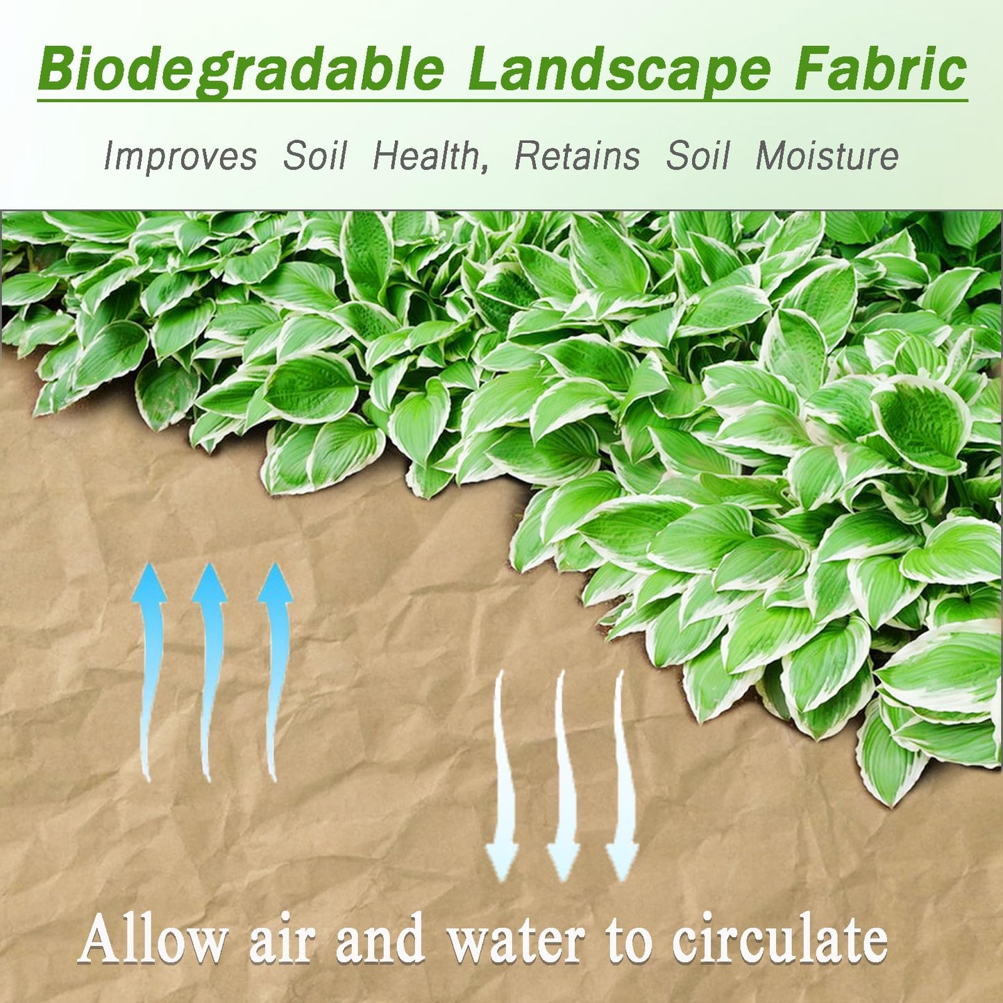 Nilioerup 2 x 50 Feet Biodegradable Paper Weed Barrier, Biodegradable Landscape Fabric Garden Bed Grass Control Barrier Weed Blocker Paper for Garden Outdoor Lawn (2 x50 ft)