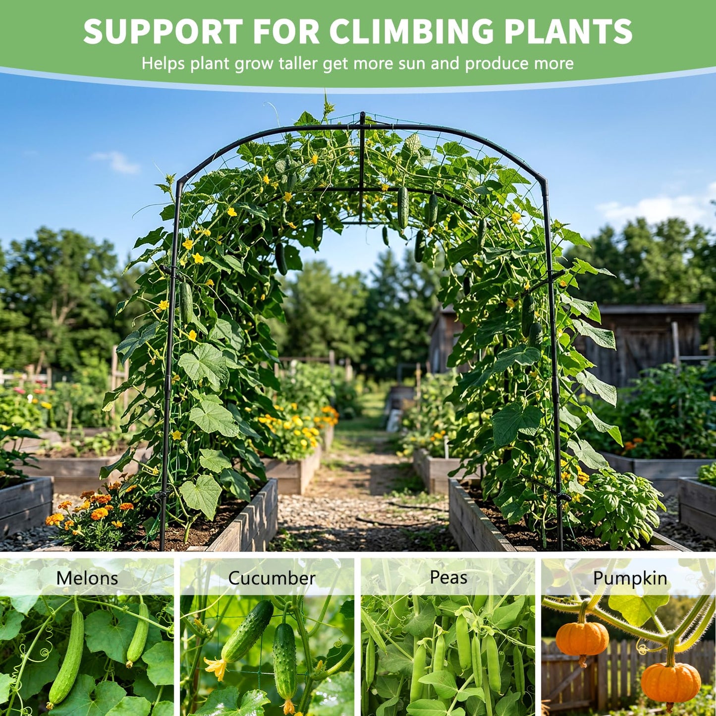 DoCred Tall Garden Arch Trellis for Climbing Plants, 87in Tall Metal Plant Support Trellis Archway for Climbing Vine Vegetable/Fruit/Flower Outdoor Yard Lawn Garden Arch Tunnel Trellis
