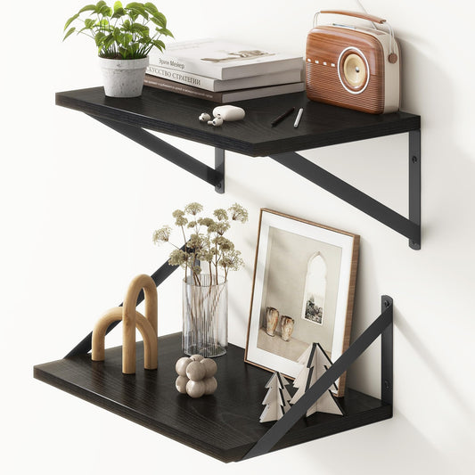 Fun Memories 10 Inch Deep Floating Shelves, Black Floating Shelf 16 Inch Long, 16" W x 10" D Wall Shelves Set of 2, Deep Shelves for Books, Wide Floating Shelves for Bahtoom, Living Room, Kitchen
