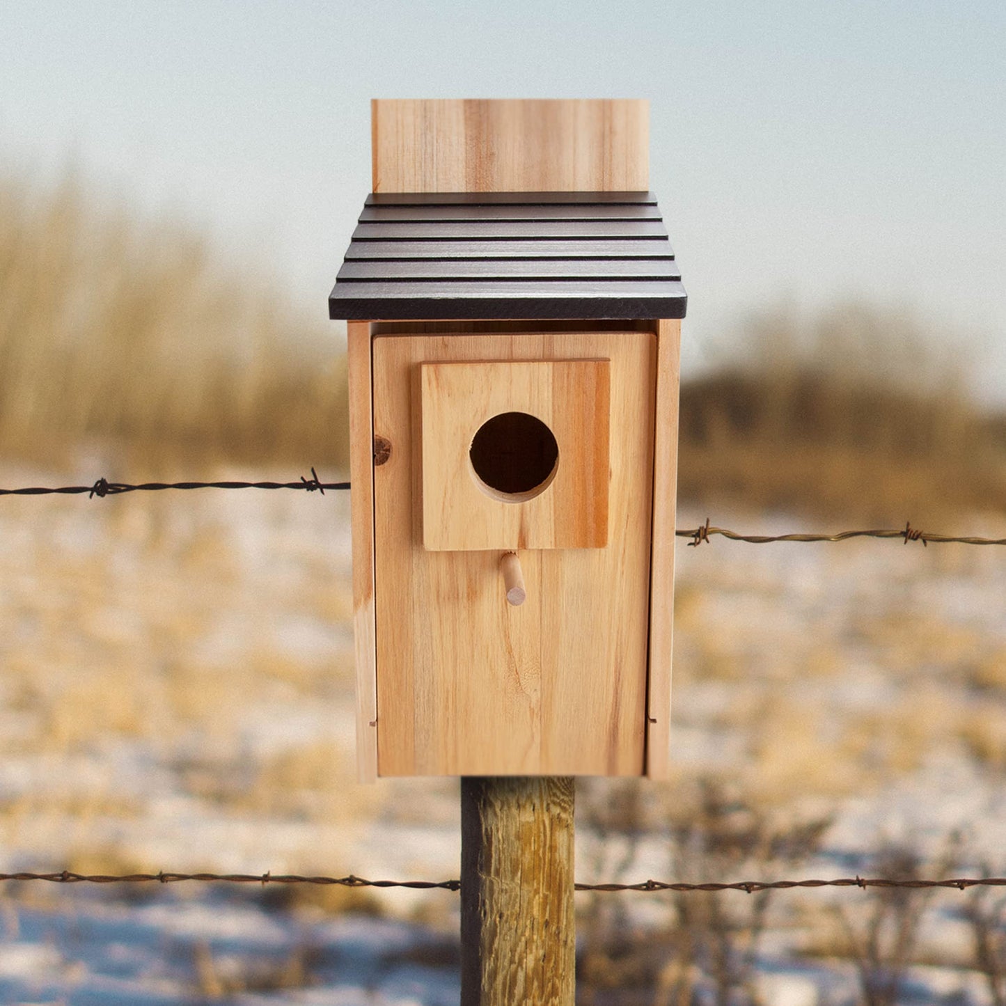 CARTMAN 0.5 Inch Thick Blue Bird Box House, Wood Bird Houses for Outside, Hummingbird House for Outside Clearance Garden Country Cottages, 2PK