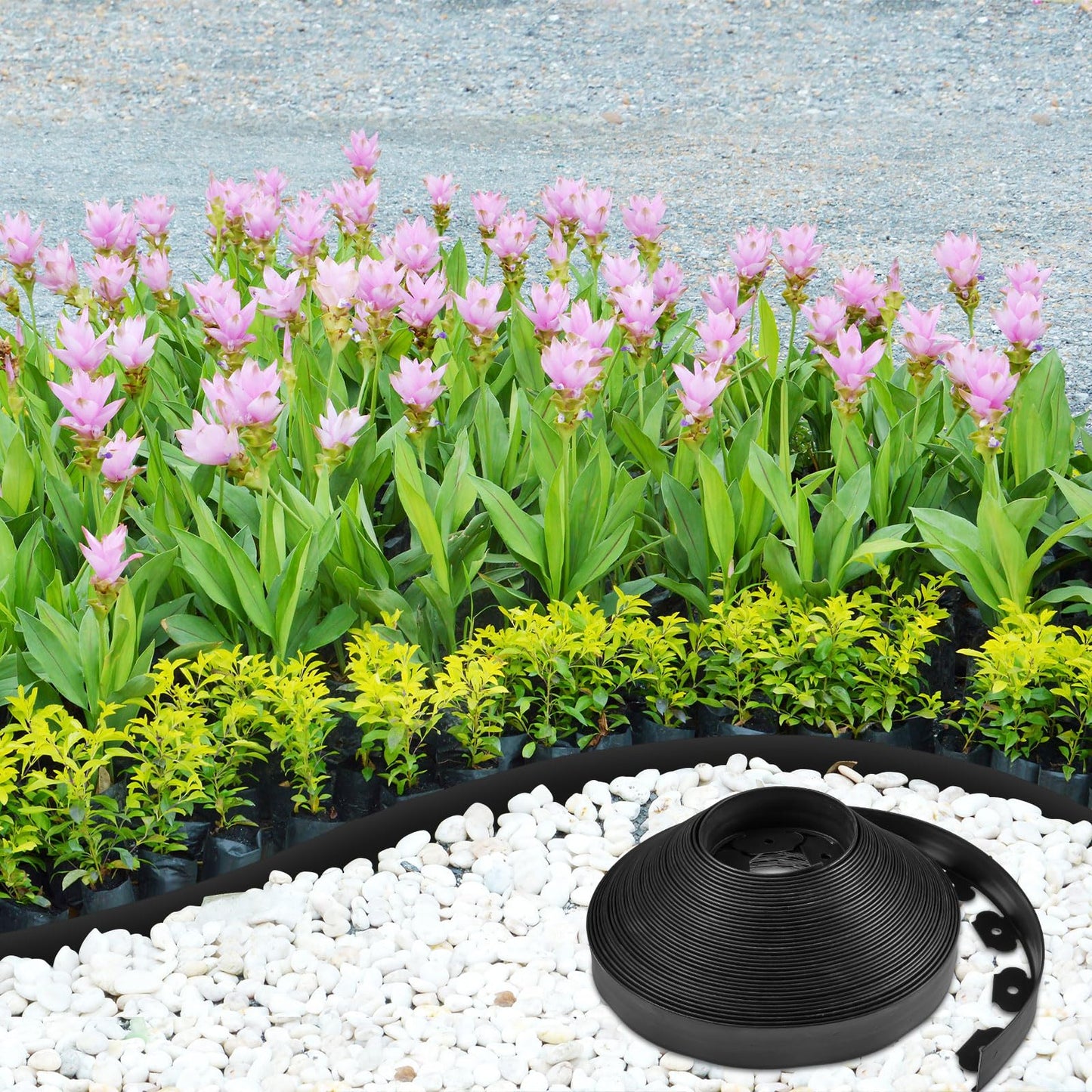 Sasylvia 2'' x 200' Landscape Edging Kit Edging Border Coil Include 120 Anchoring Spikes 10 Connectors Plastic Garden Border for Lawn Garden Grass Yard Home(Black)