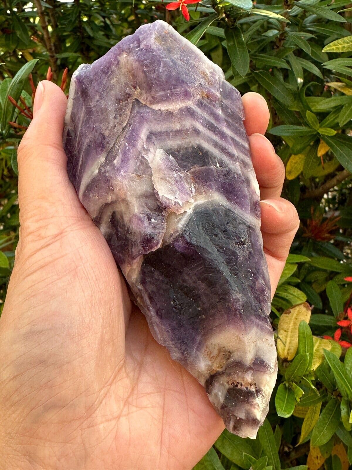 GAF TREASURES XL Raw Chevron Amethyst, 3-4" Natural Rough Chevron Amethyst, Chevron Amethyst Healing Rough Crystal (Chevron Amethyst, 0.5-1 lb)