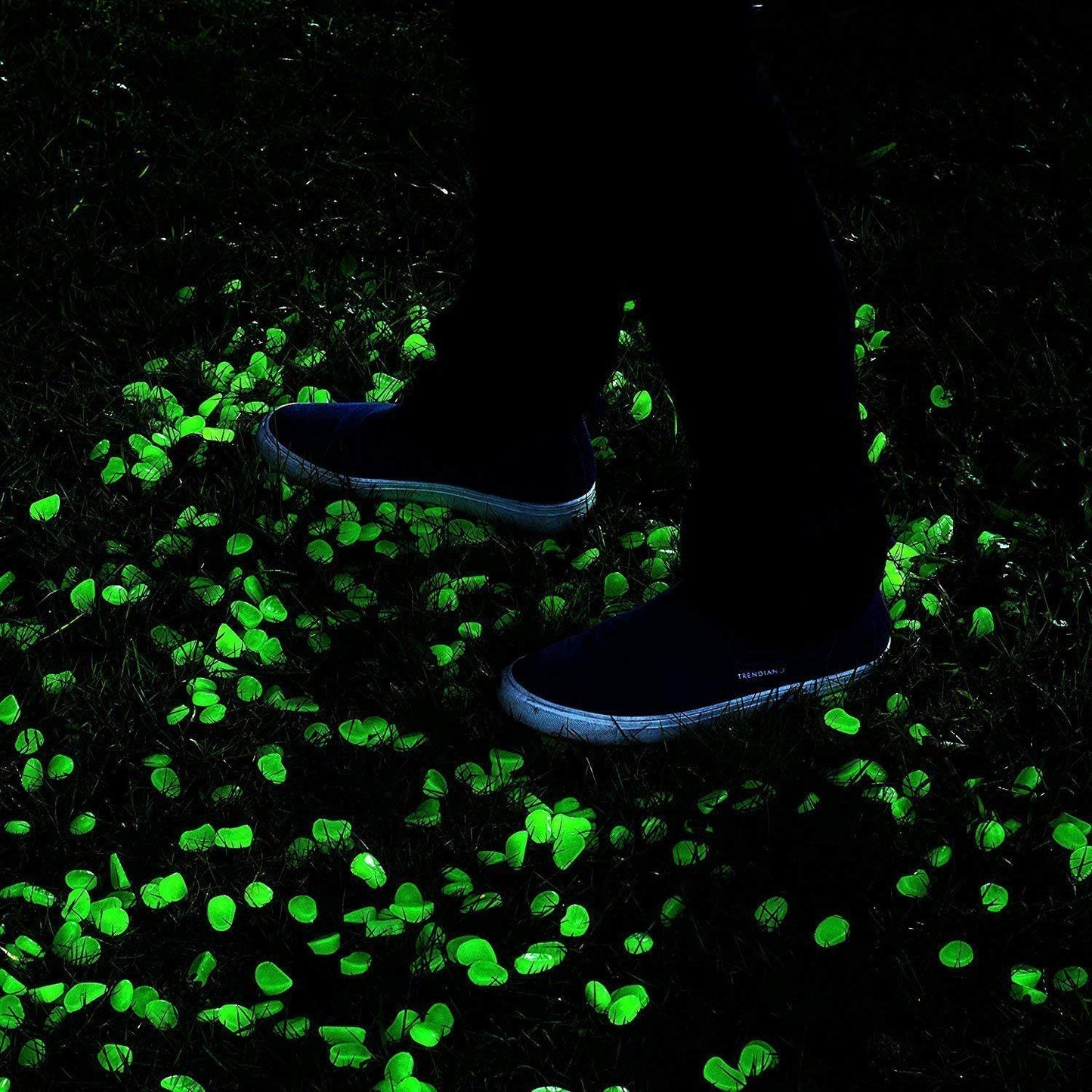 340 Pcs Glow in The Dark Garden Pebbles, Gardening Luminous Glow Stones Outdoor Decor Glowing Water Fish Tank Gravel (Green)