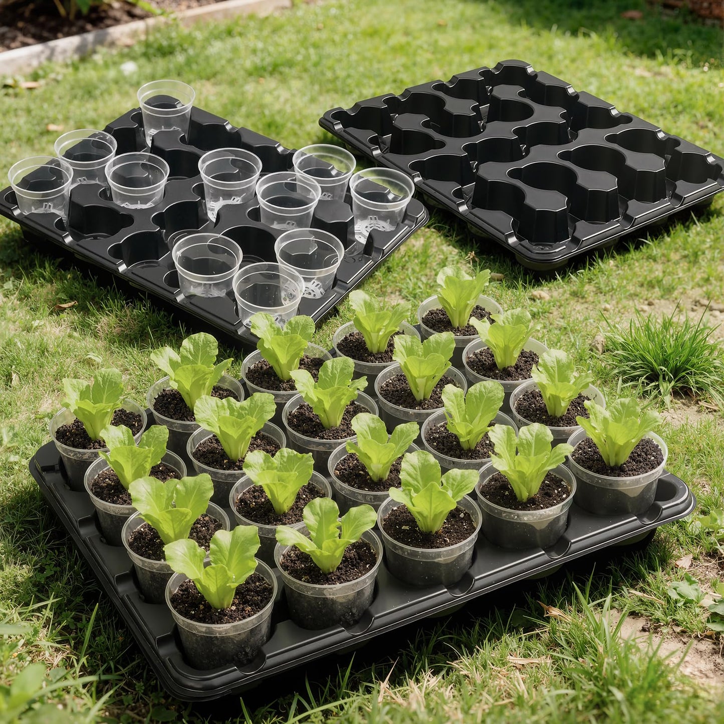 homenote 3 Inch Seed Starting Trays with Clear Nursery Pots, 5-Pack 20-Cell Seedling Starter Trays & 3" Nursery Pots 100 Pcs with Drainage, Plant Starter Germination Trays for Indoor Outdoor Growing