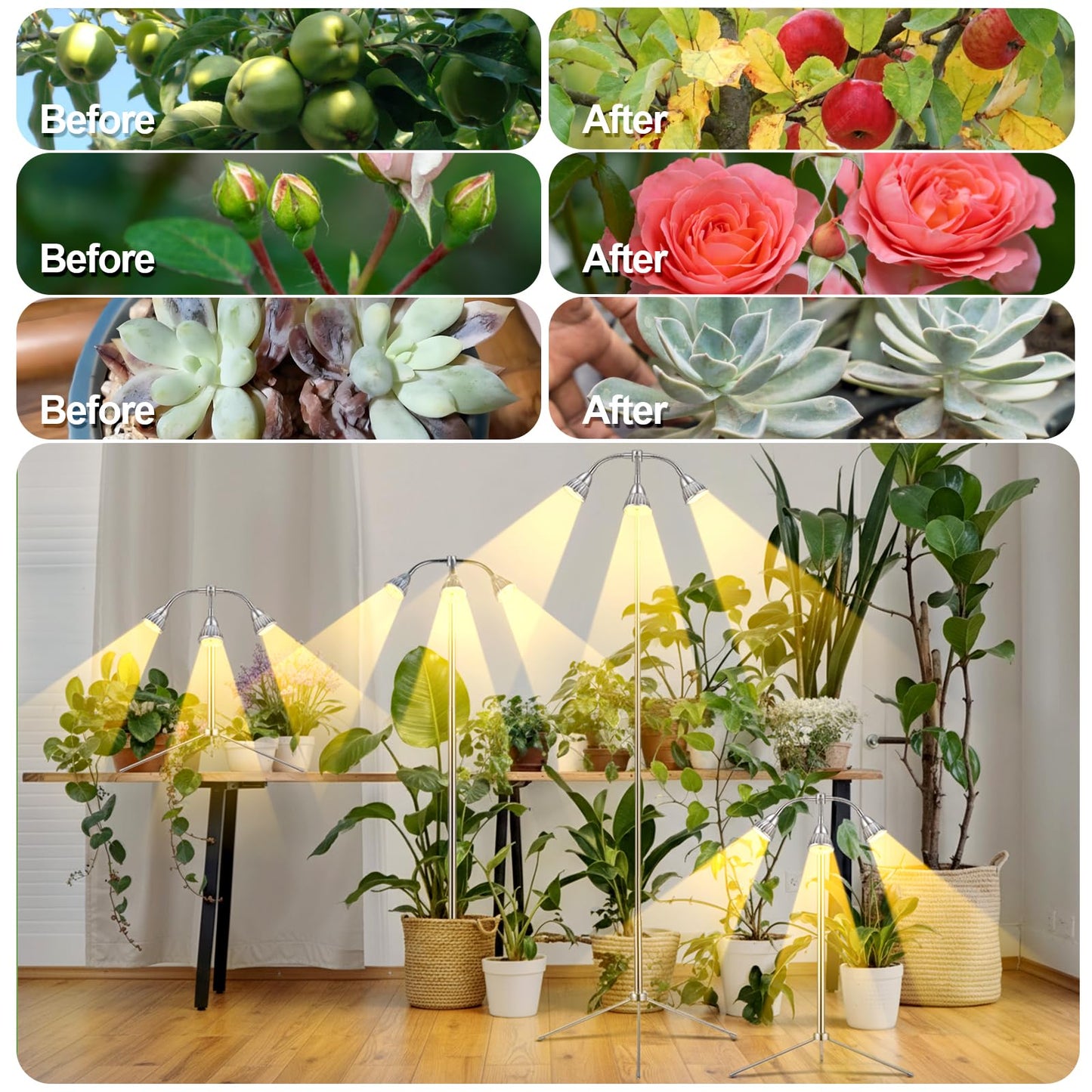 Avolend Grow Lights with 3 Heads for Indoor Plants, 10-55 Inches Height Adjustable Aluminum Alloy, Full Spectrum Plant Growing Lamps with Detachable Tripod Stand, Auto On/Off Timer