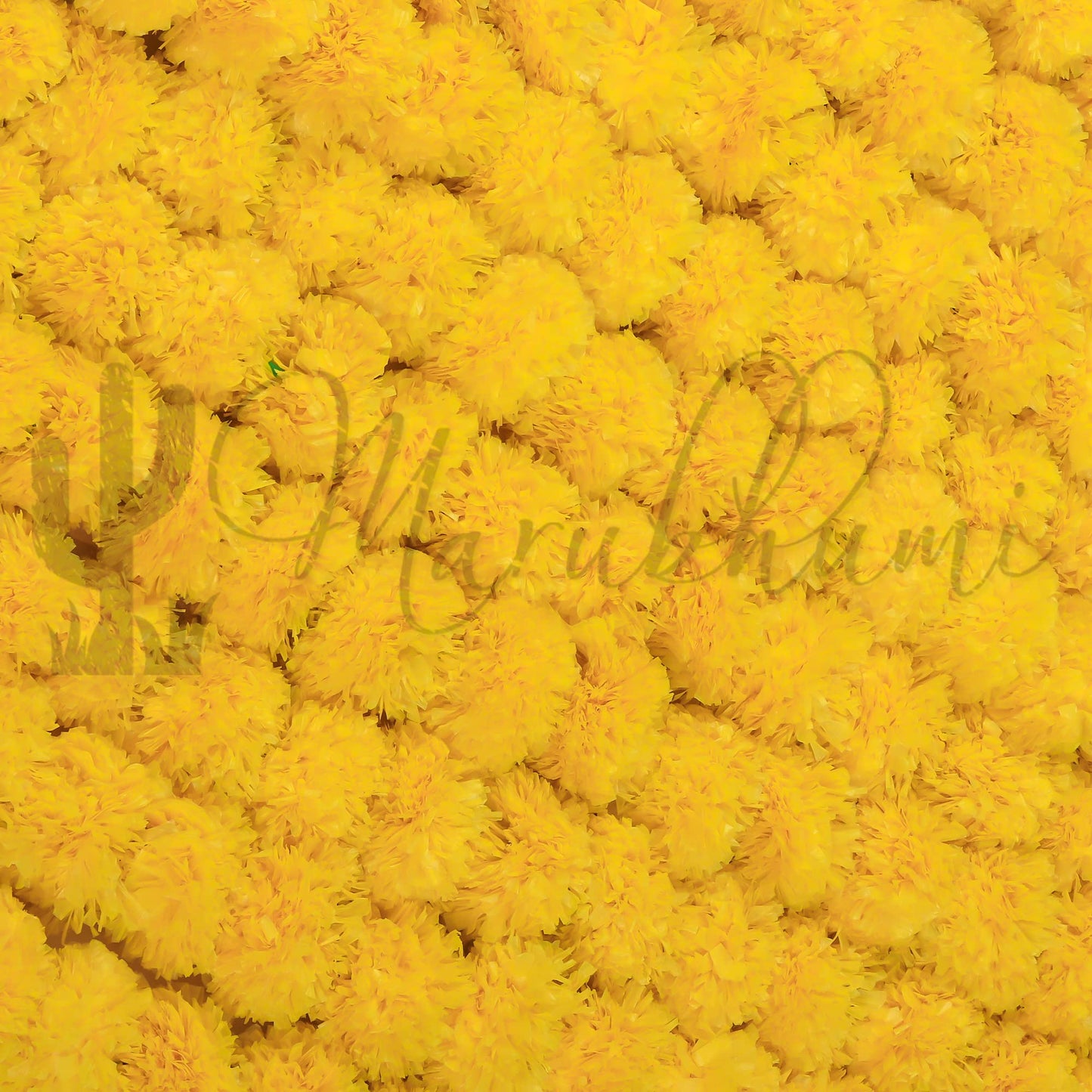 Marubhumi 5 PC - 5 feet Artificial Marigold Flower Garland – Long Strands for Diwali, Wedding & Festive Decoration – Traditional Indian Home Decor